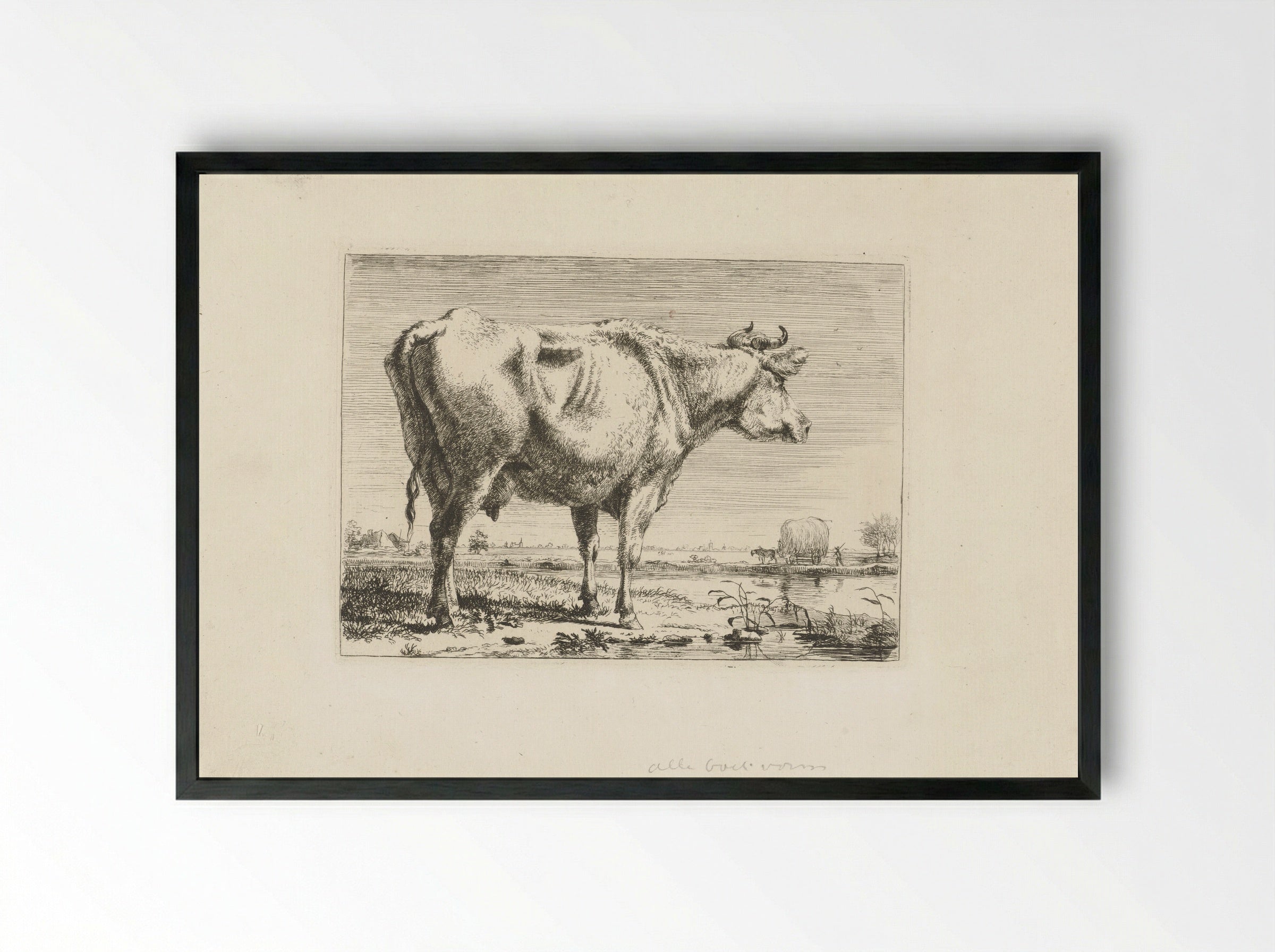 Staande koe (Standing Cow) - Pieter Gerardus van Os - Framed Print Black