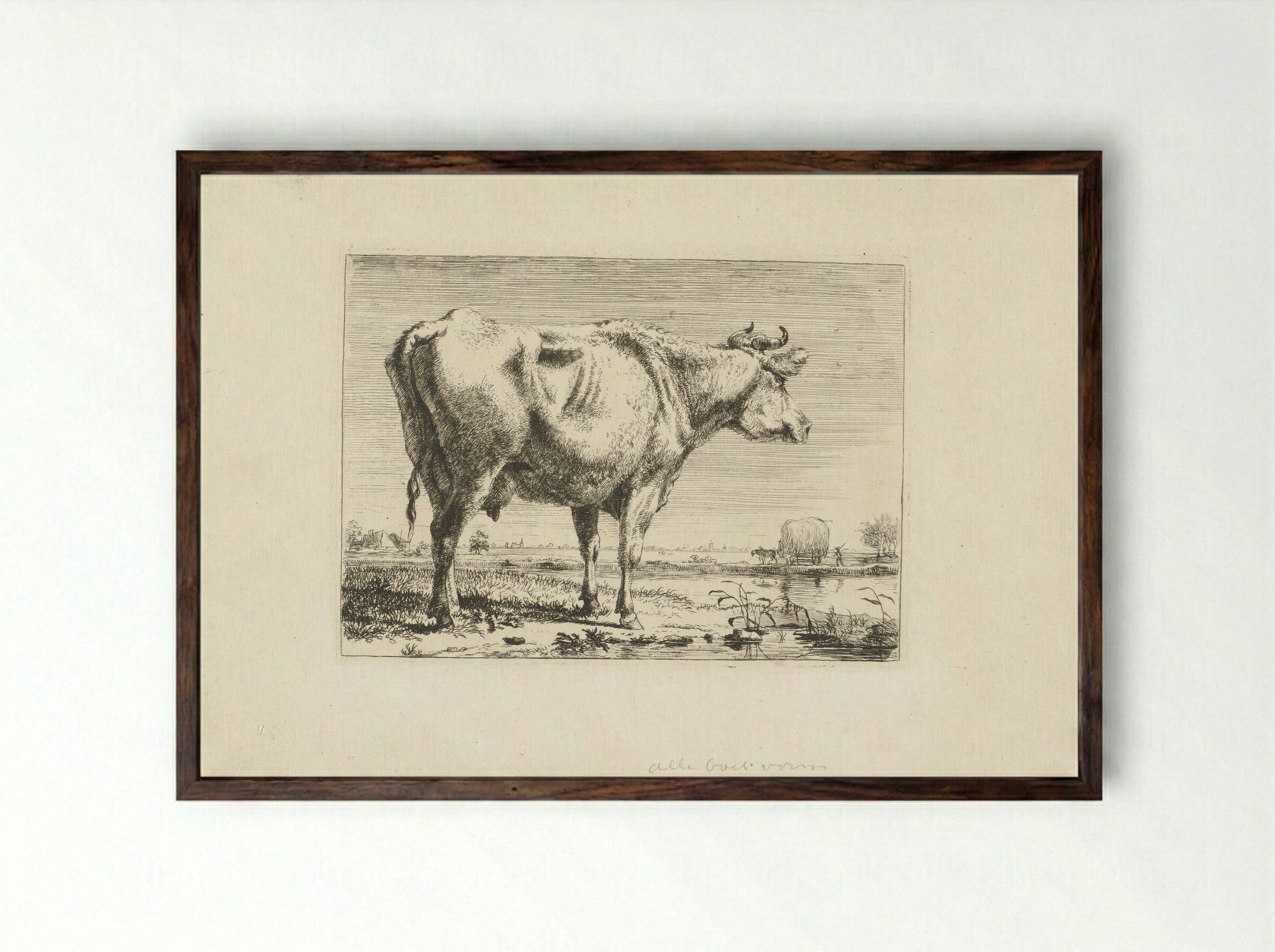 Staande koe (Standing Cow) - Pieter Gerardus van Os - Framed Print Dark Wood