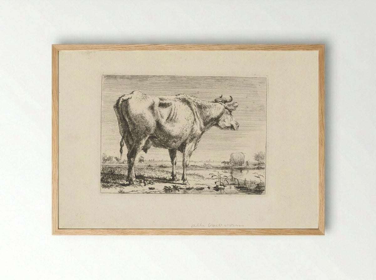 Staande koe (Standing Cow) - Pieter Gerardus van Os - Framed Print Wood