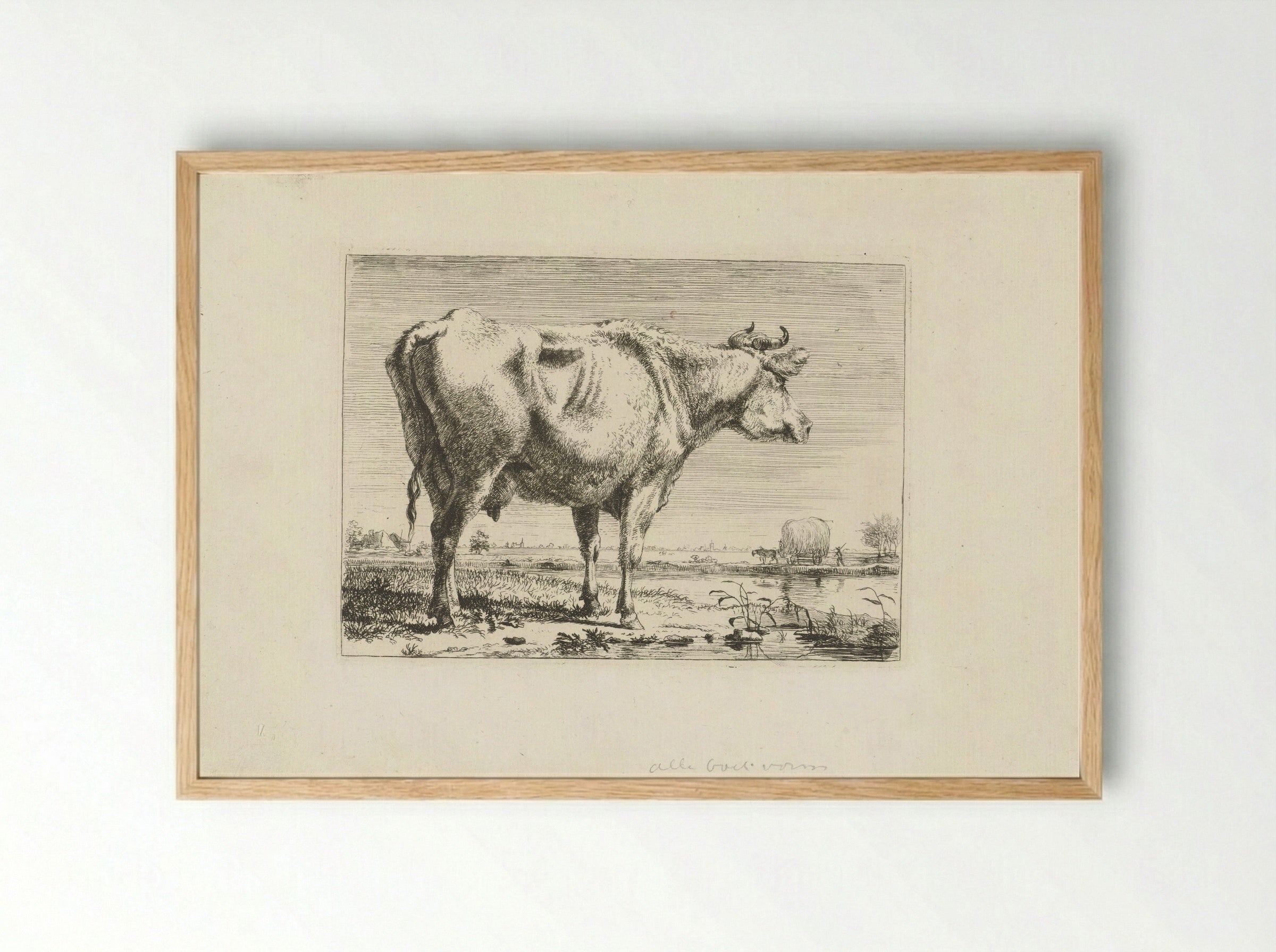 Staande koe (Standing Cow) - Pieter Gerardus van Os - Framed Print Wood
