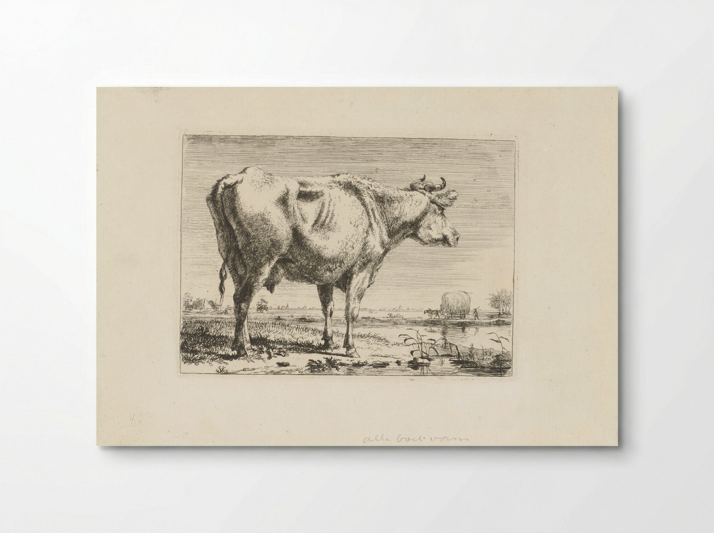Staande koe (Standing Cow) - Pieter Gerardus van Os - Poster