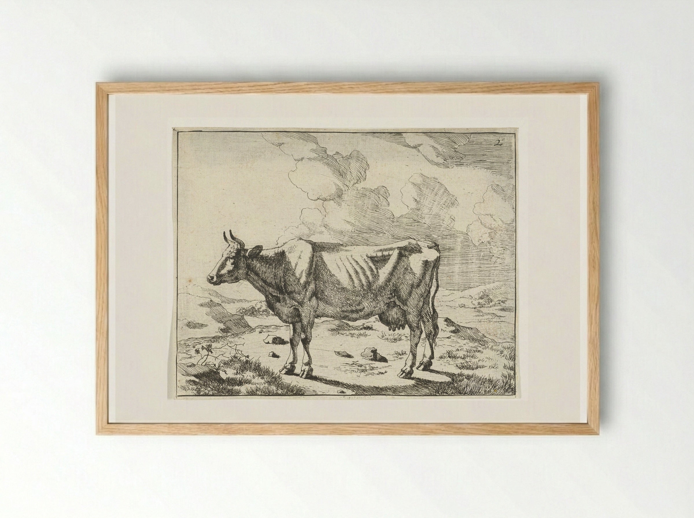Staande koe bij wolkenlucht - Marcus de Bye - Framed Print Wood