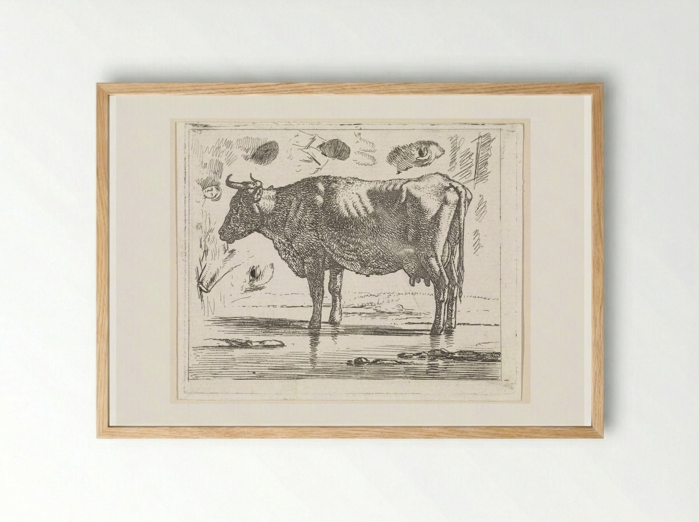 Staande koe in het water - Wouter Johannes van Troostwijk - Framed Print Wood