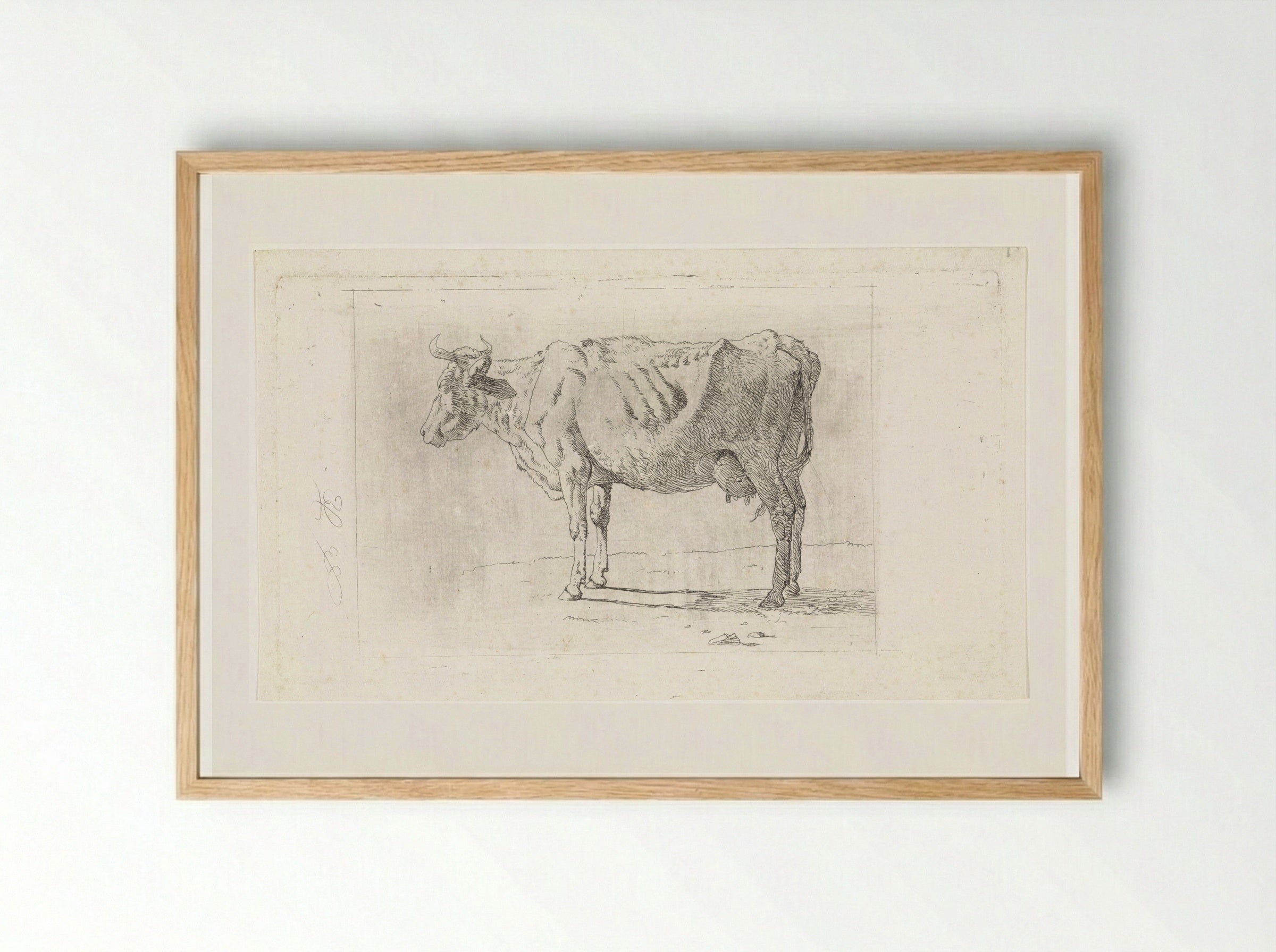 Staande koe, naar links - Wouter Johannes van Troostwijk - Framed Print Wood