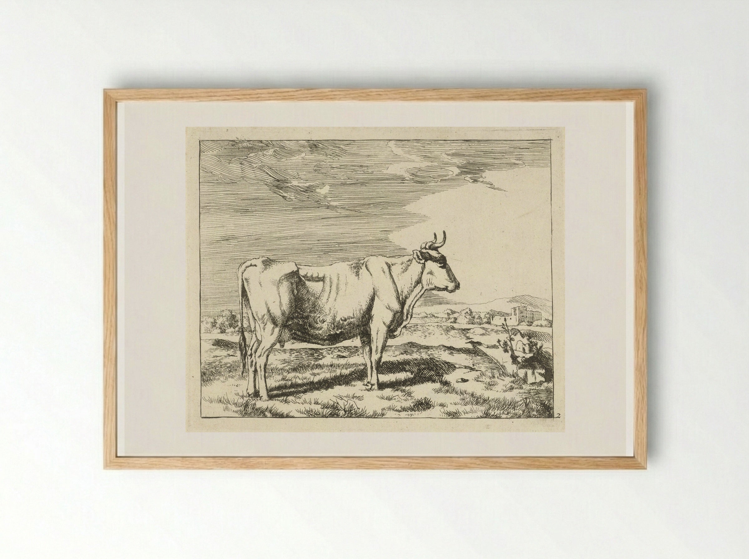 Staande koe, naar rechts - Marcus de Bye - Framed Print Wood