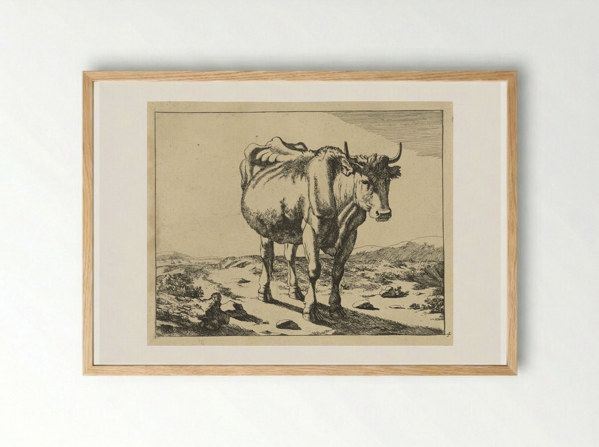 Staande koe, van voren gezien - Marcus de Bye - Framed Print Wood