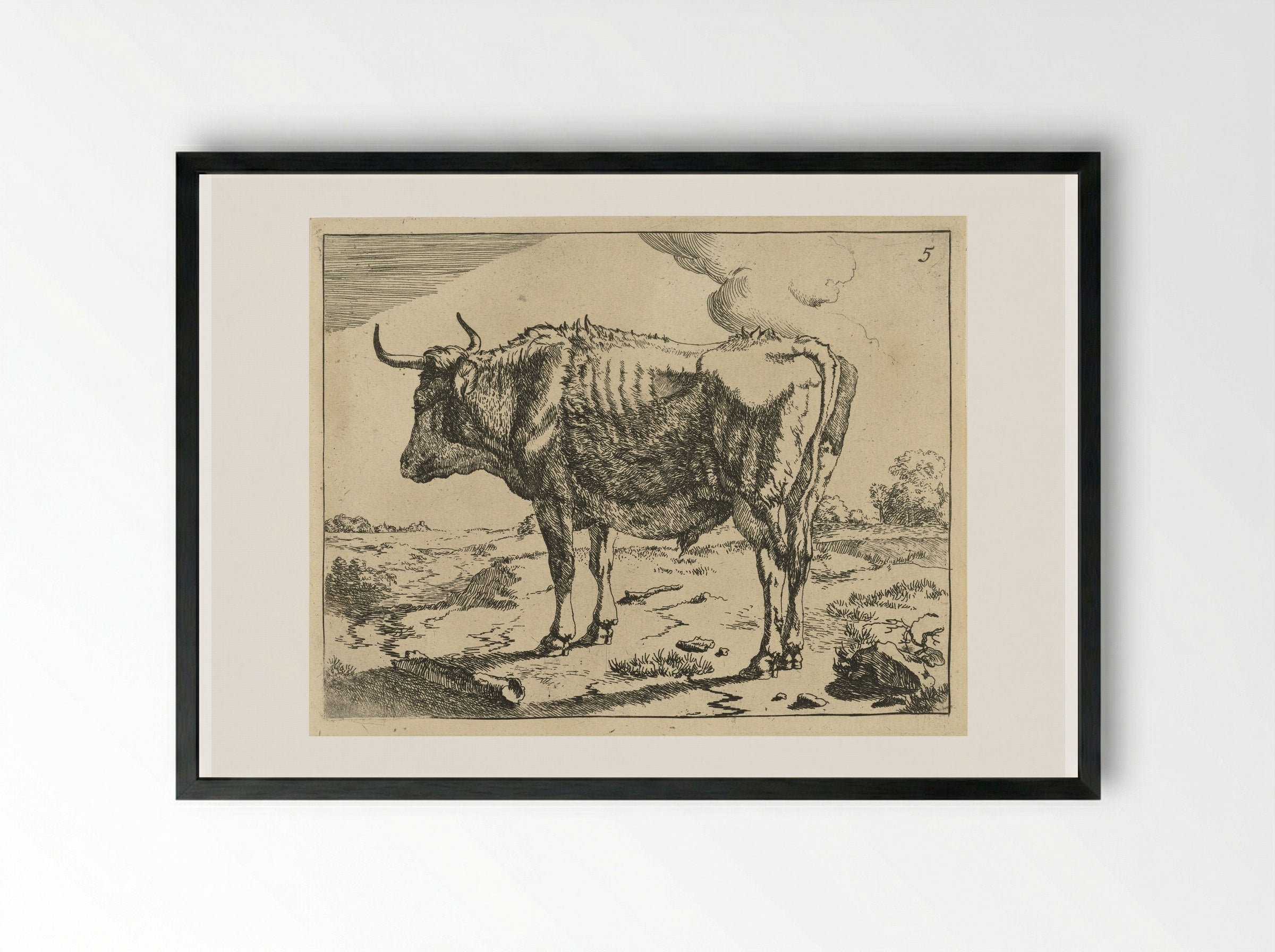 Staande stier (Standing Bull) - Marcus de Bye - Framed Print Black