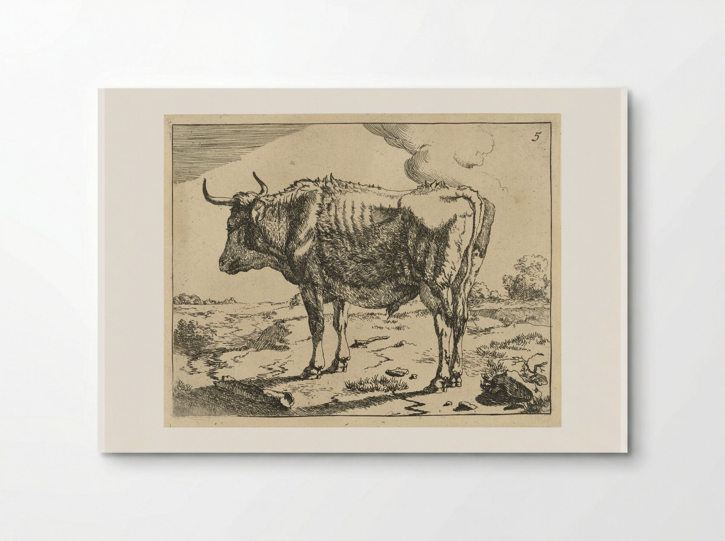 Staande stier (Standing Bull) - Marcus de Bye - Poster