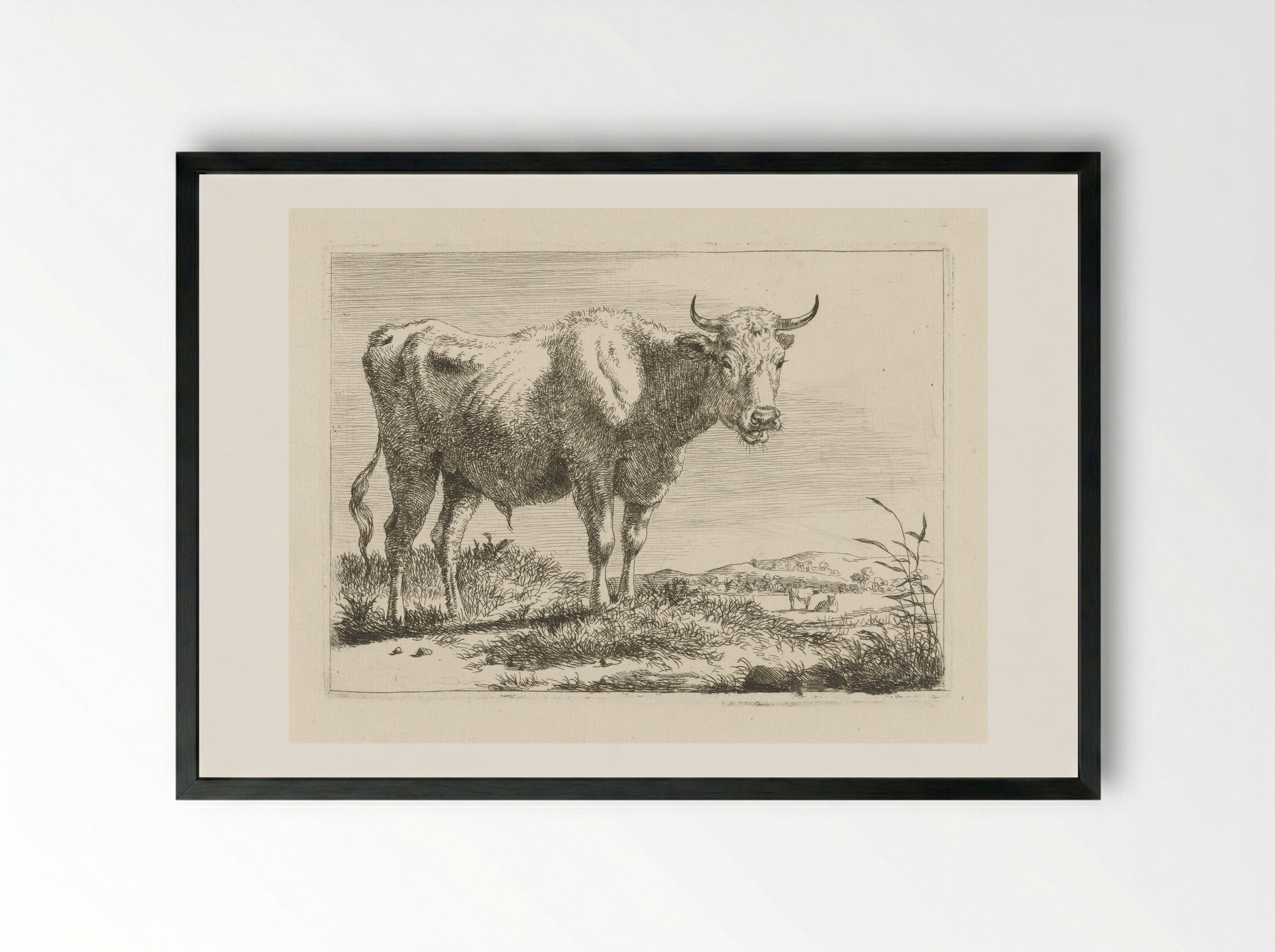 Staande stier - Pieter Gerardus van Os - Framed Print Black