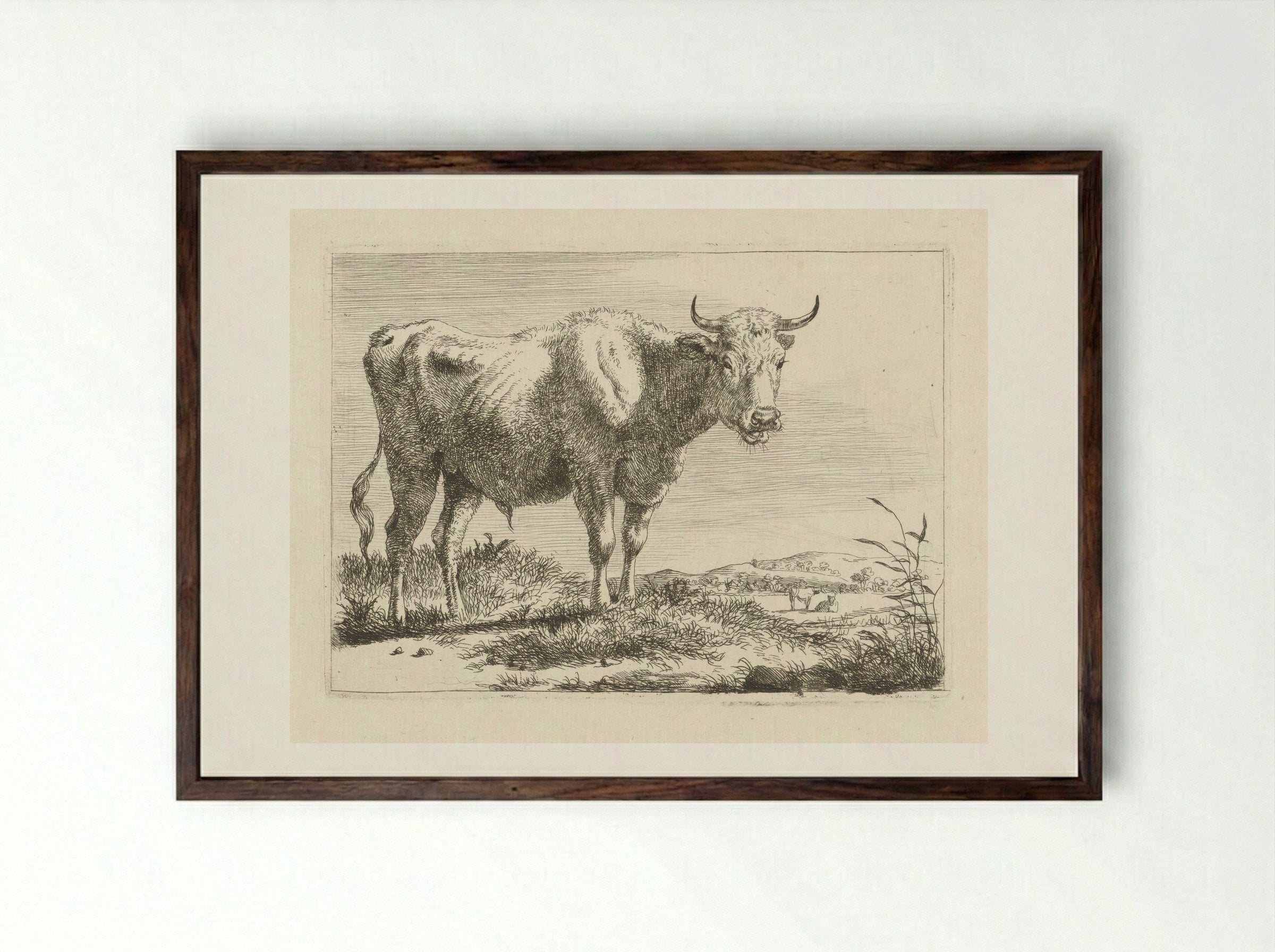 Staande stier - Pieter Gerardus van Os - Framed Print Dark Wood
