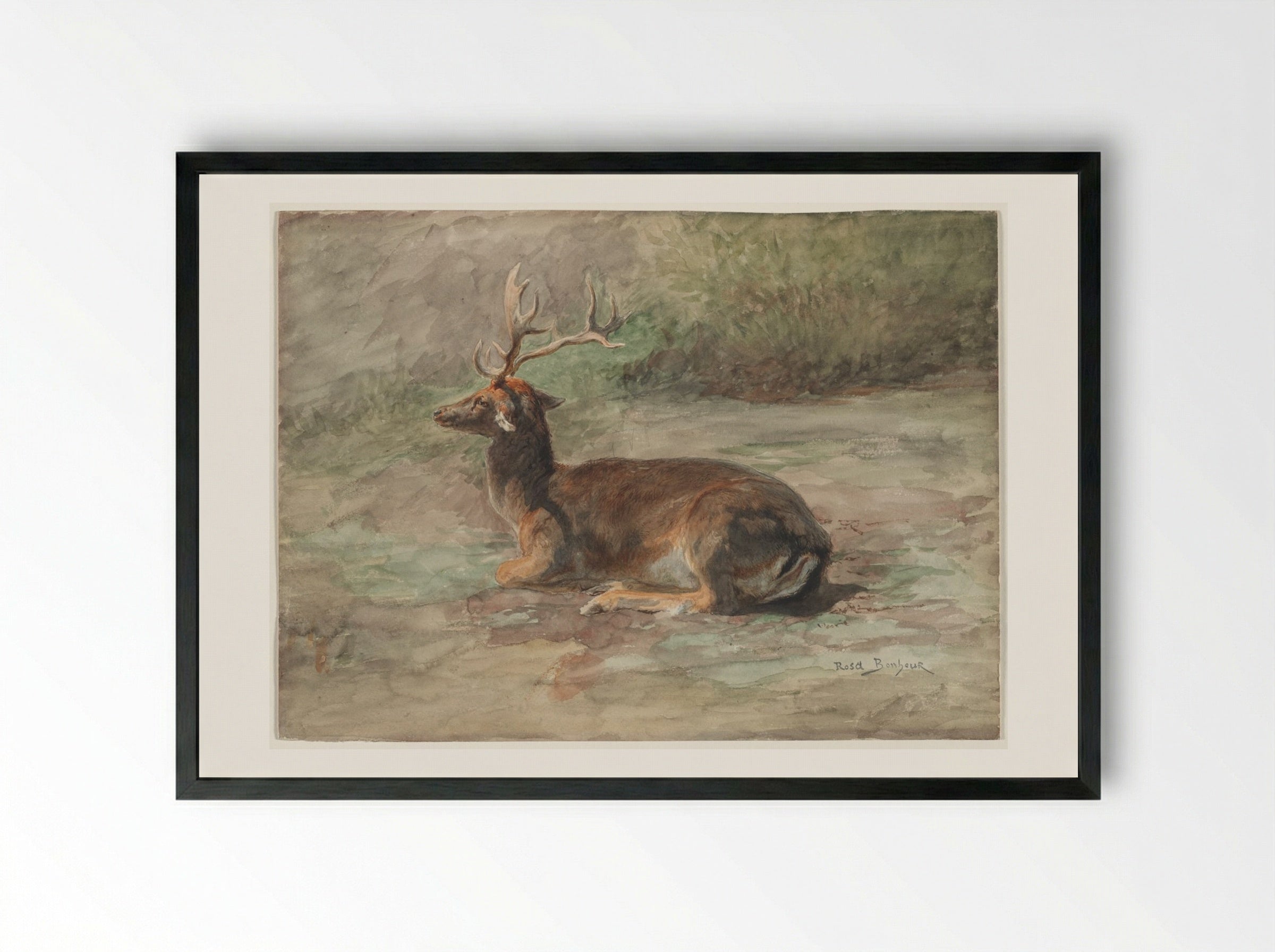 Stag Lying Down - Rosa Bonheur - Framed Print Black