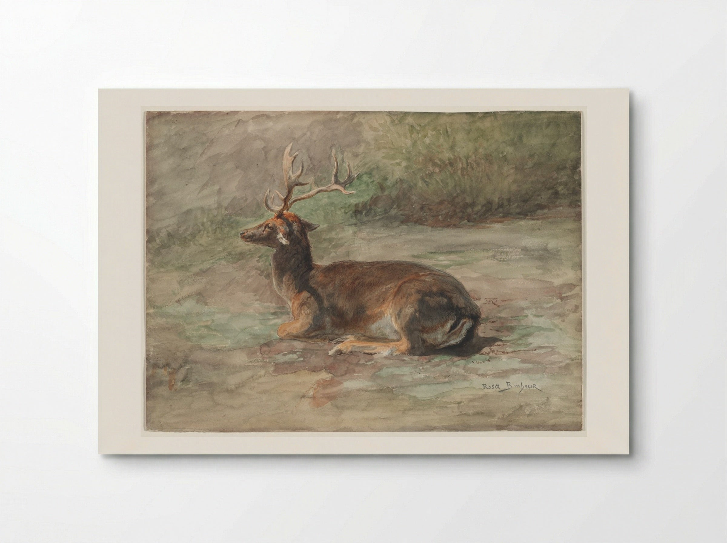 Stag Lying Down - Rosa Bonheur - Poster