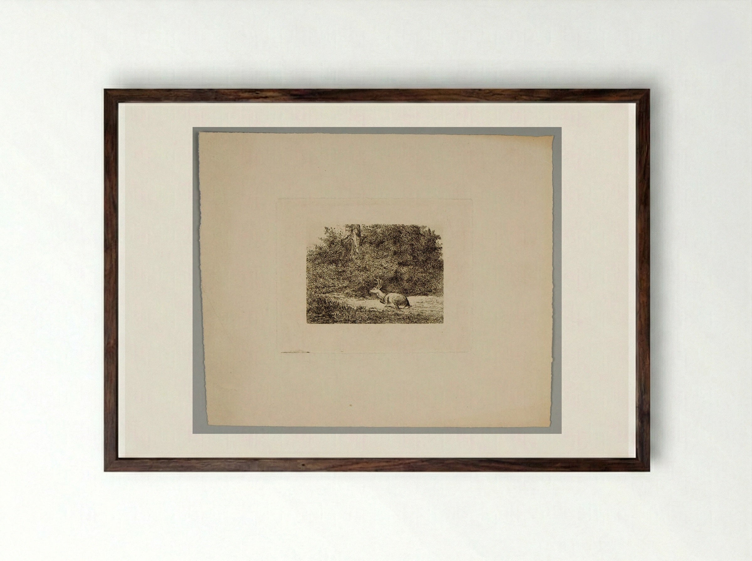 Stag Resting - Karl Bodmer - Framed Print Dark Wood