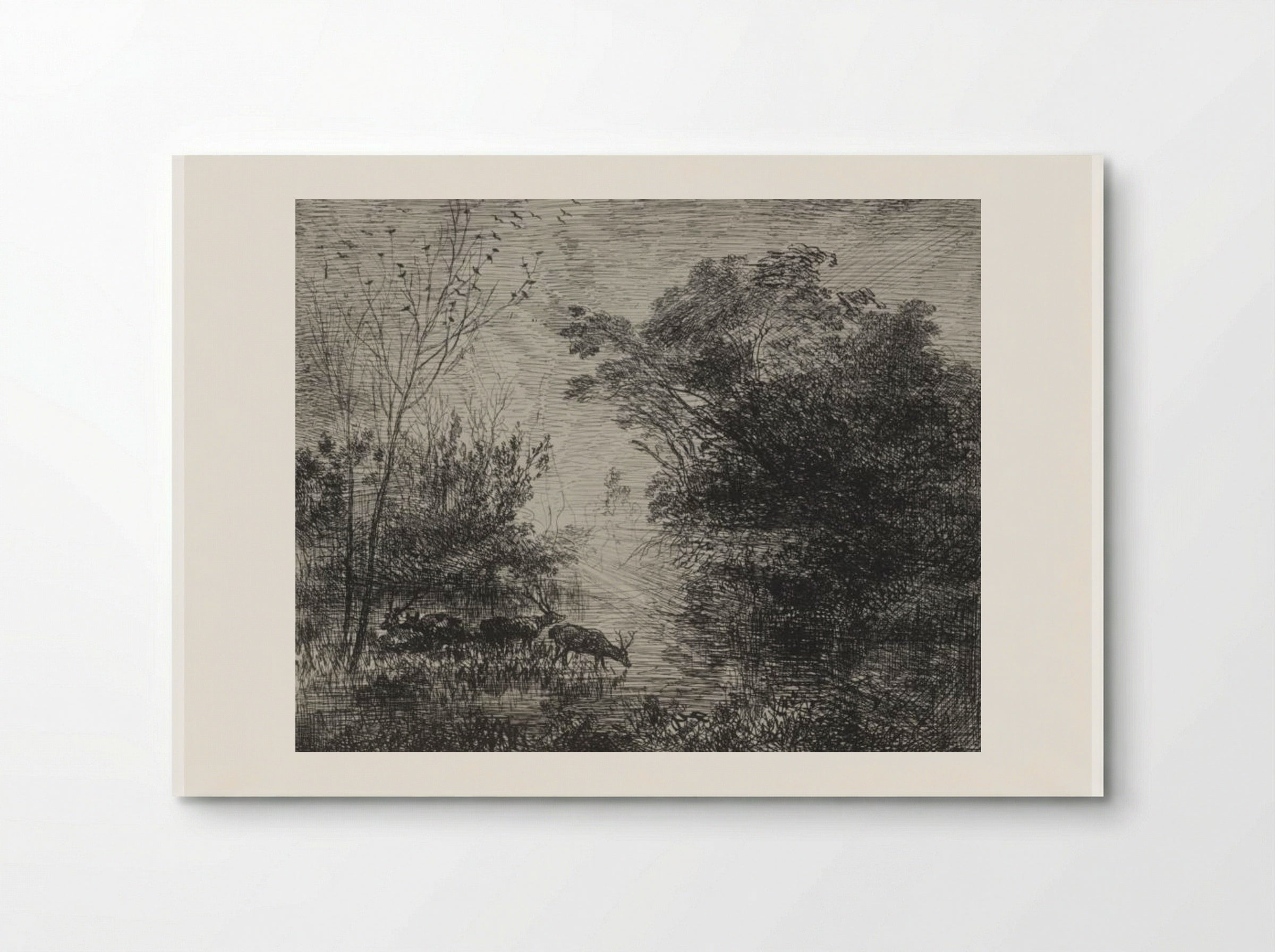 Stags - Charles François Daubigny - Poster