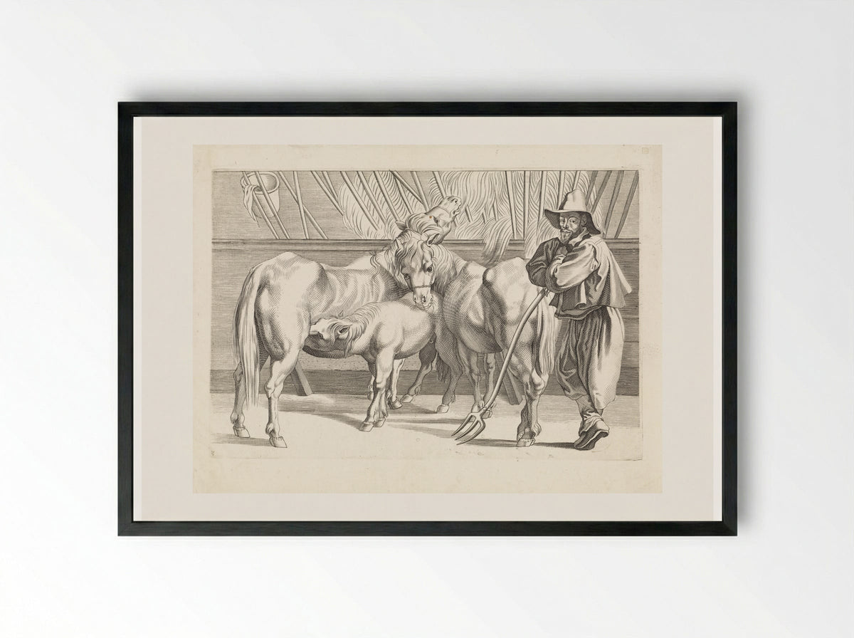Stal met paarden en stalmeester - Paulus Pontius - Framed Print Black