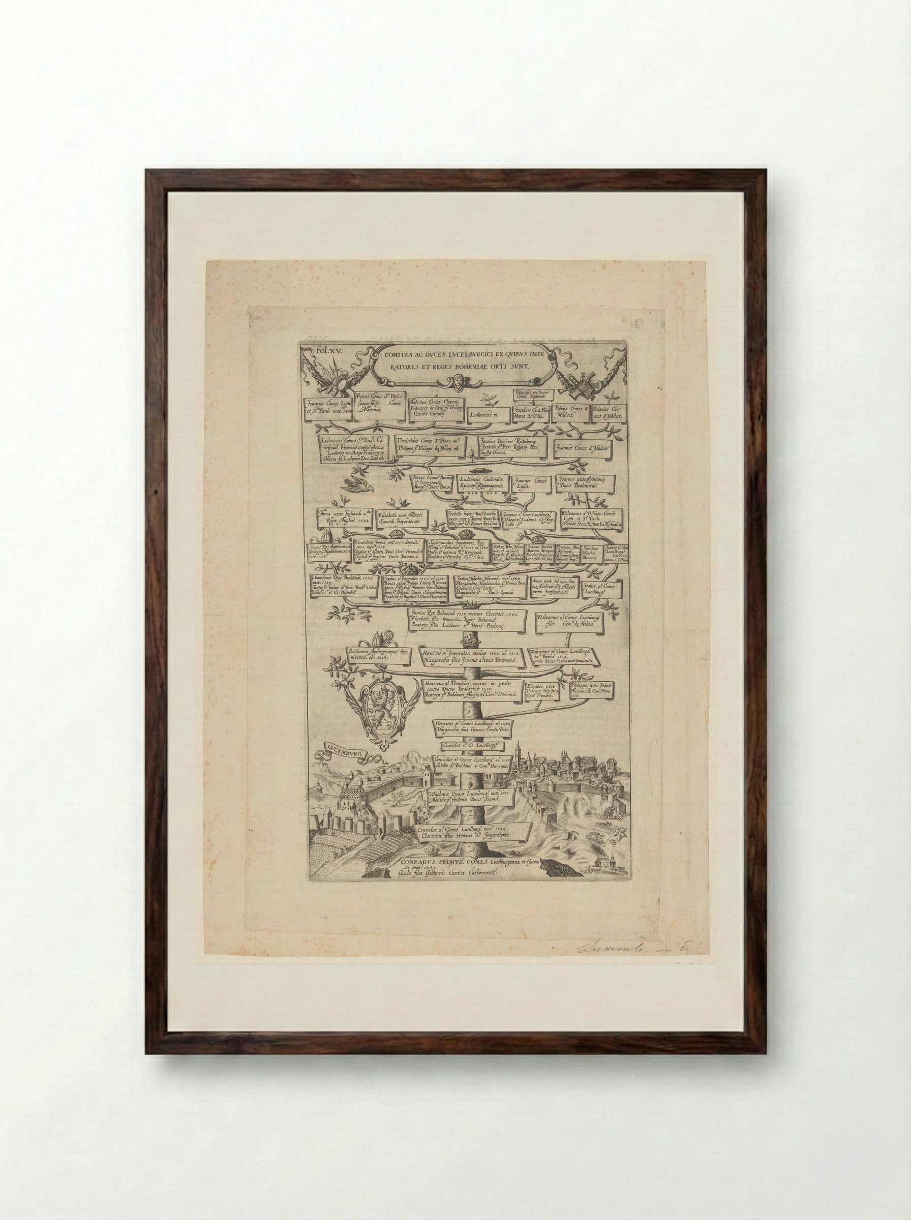 Stamboom van de graven en hertogen van Luxemburg, 1050-1476 - Dominicus Custos - Framed Print Dark Wood