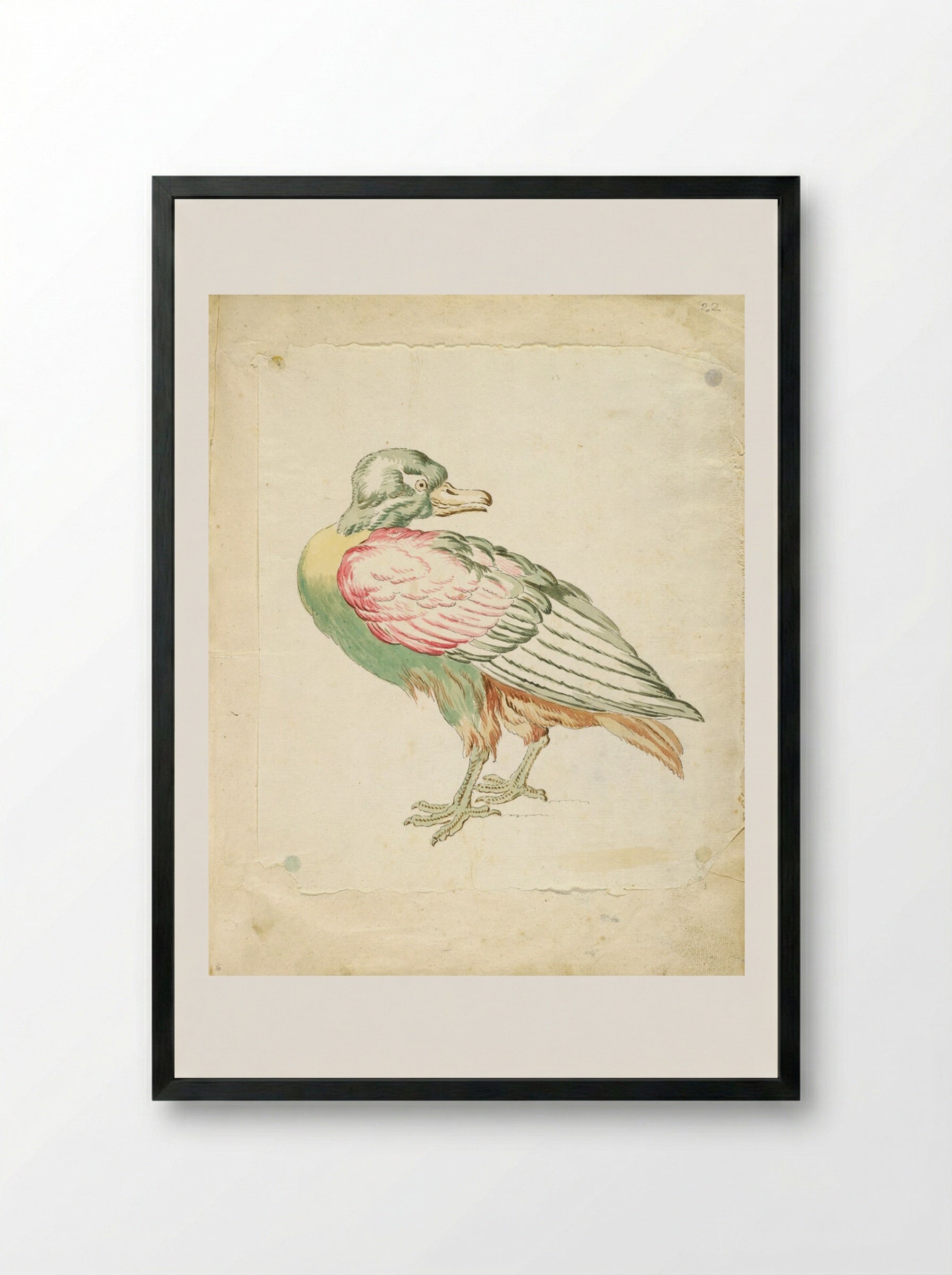Standing Bird Looking Backwards - Jean-Baptiste Oudry - Framed Print Black