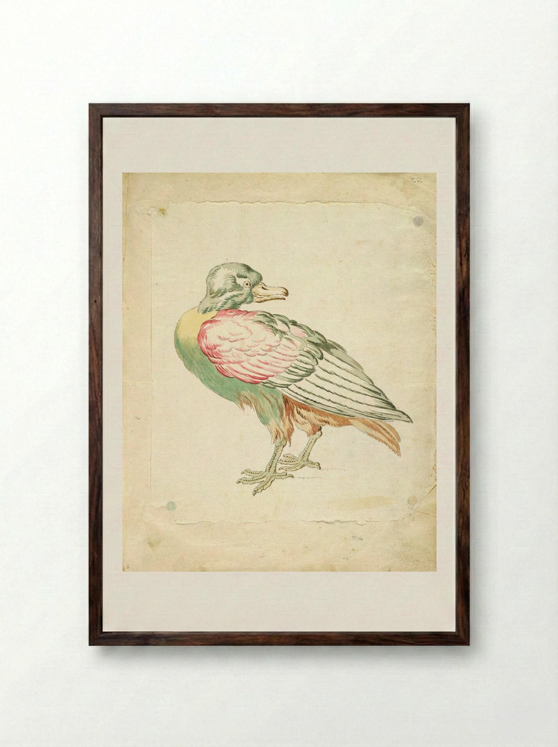 Standing Bird Looking Backwards - Jean-Baptiste Oudry - Framed Print Dark Wood