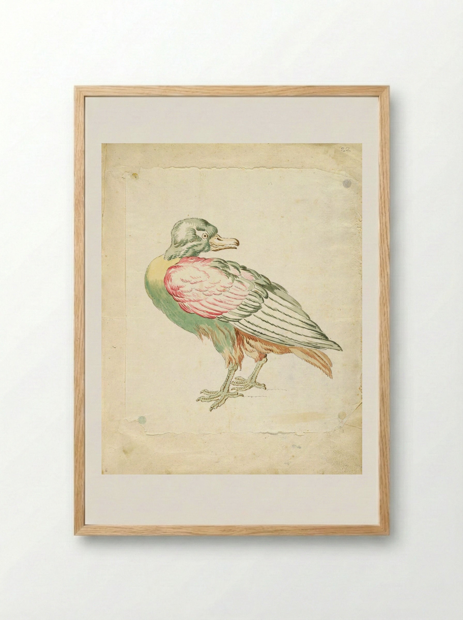 Standing Bird Looking Backwards - Jean-Baptiste Oudry - Framed Print Wood