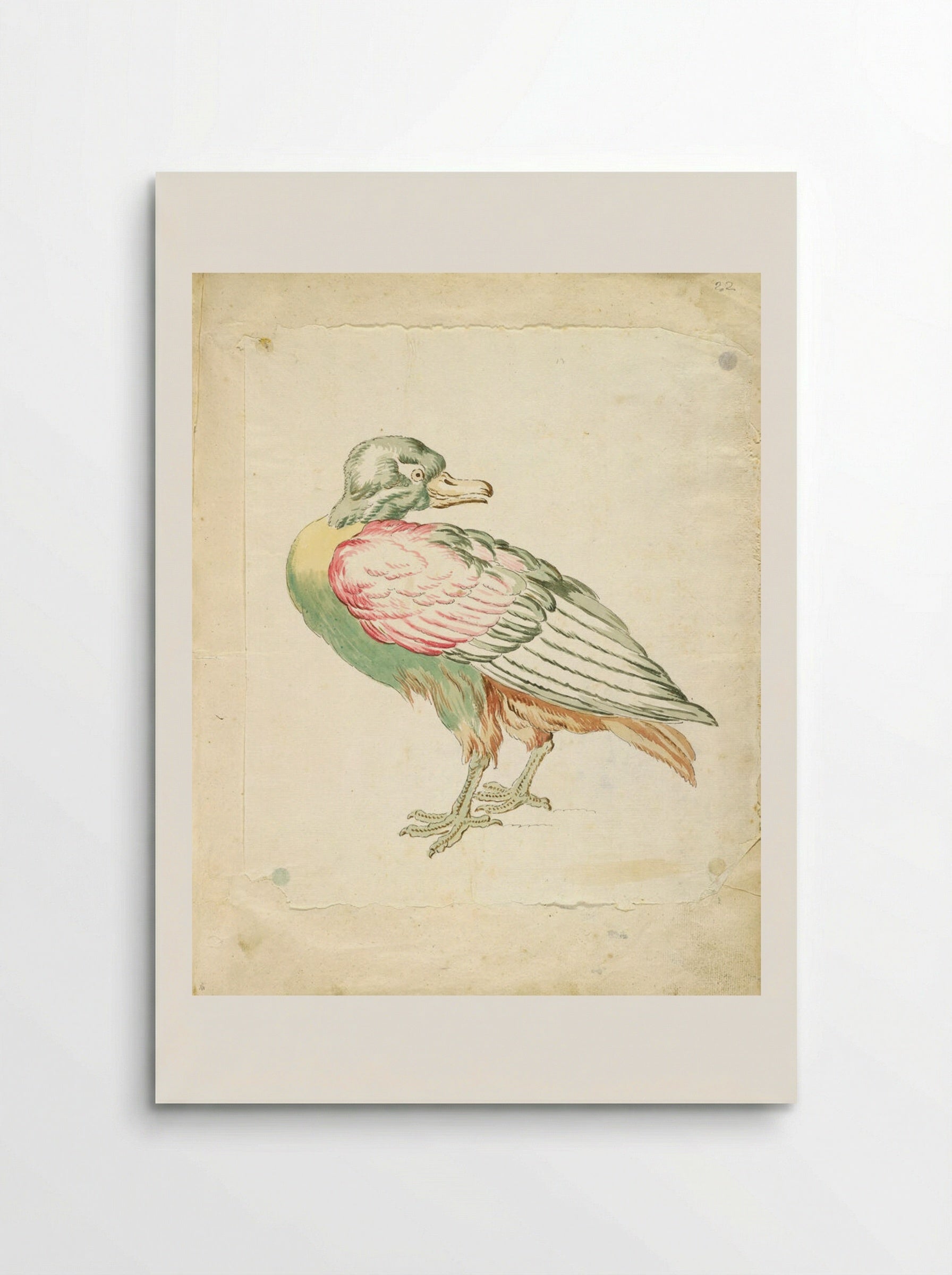 Standing Bird Looking Backwards - Jean-Baptiste Oudry - Poster