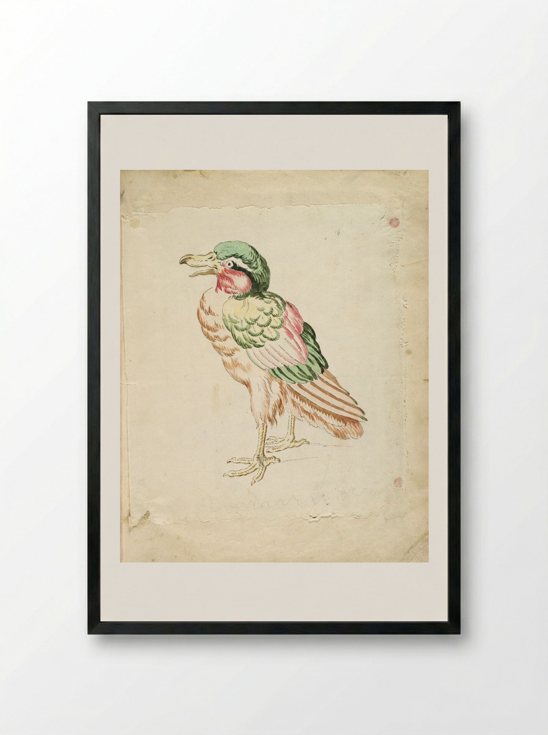 Standing Bird - Jean-Baptiste Oudry - Framed Print Black