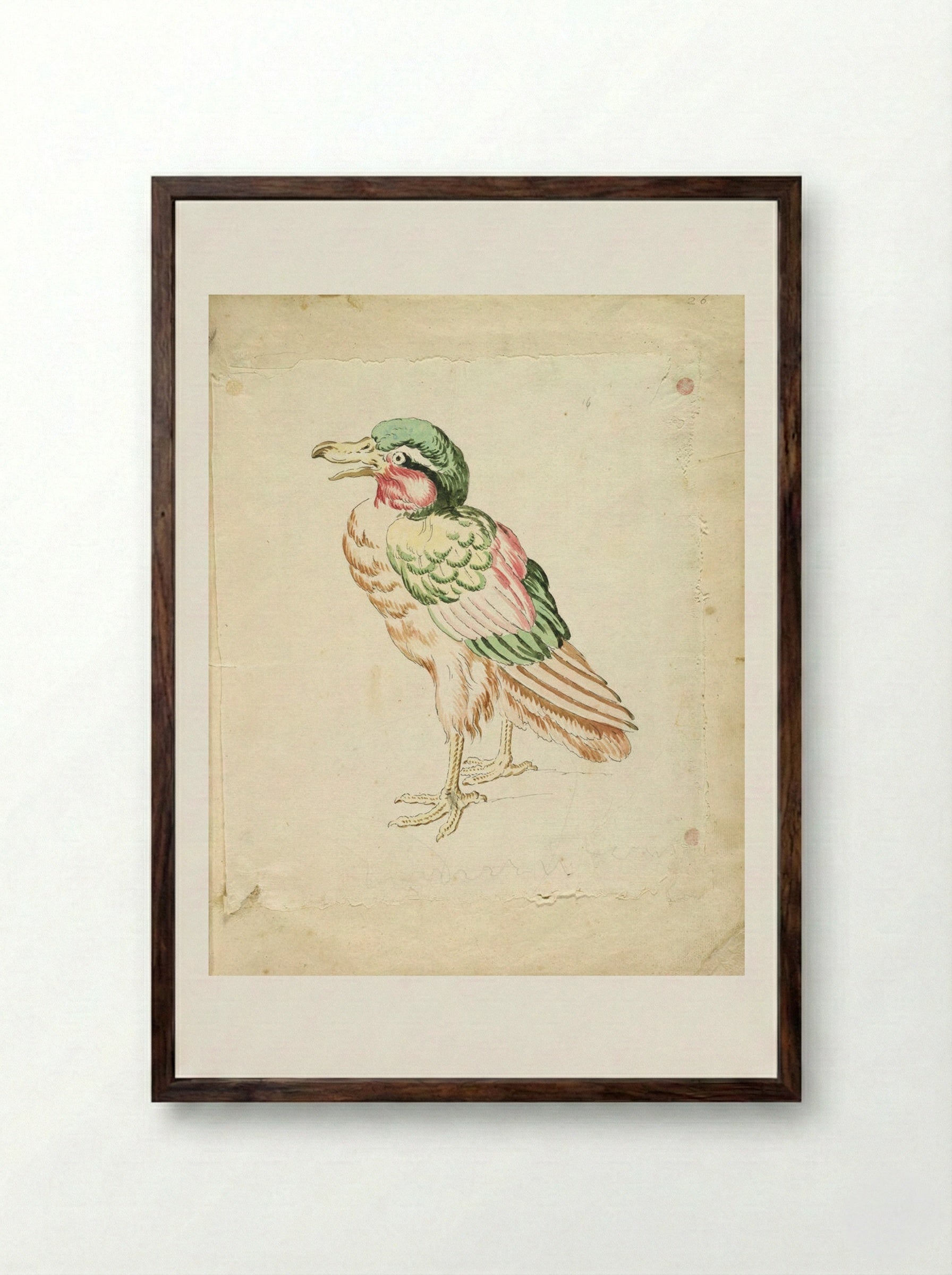 Standing Bird - Jean-Baptiste Oudry - Framed Print Dark Wood