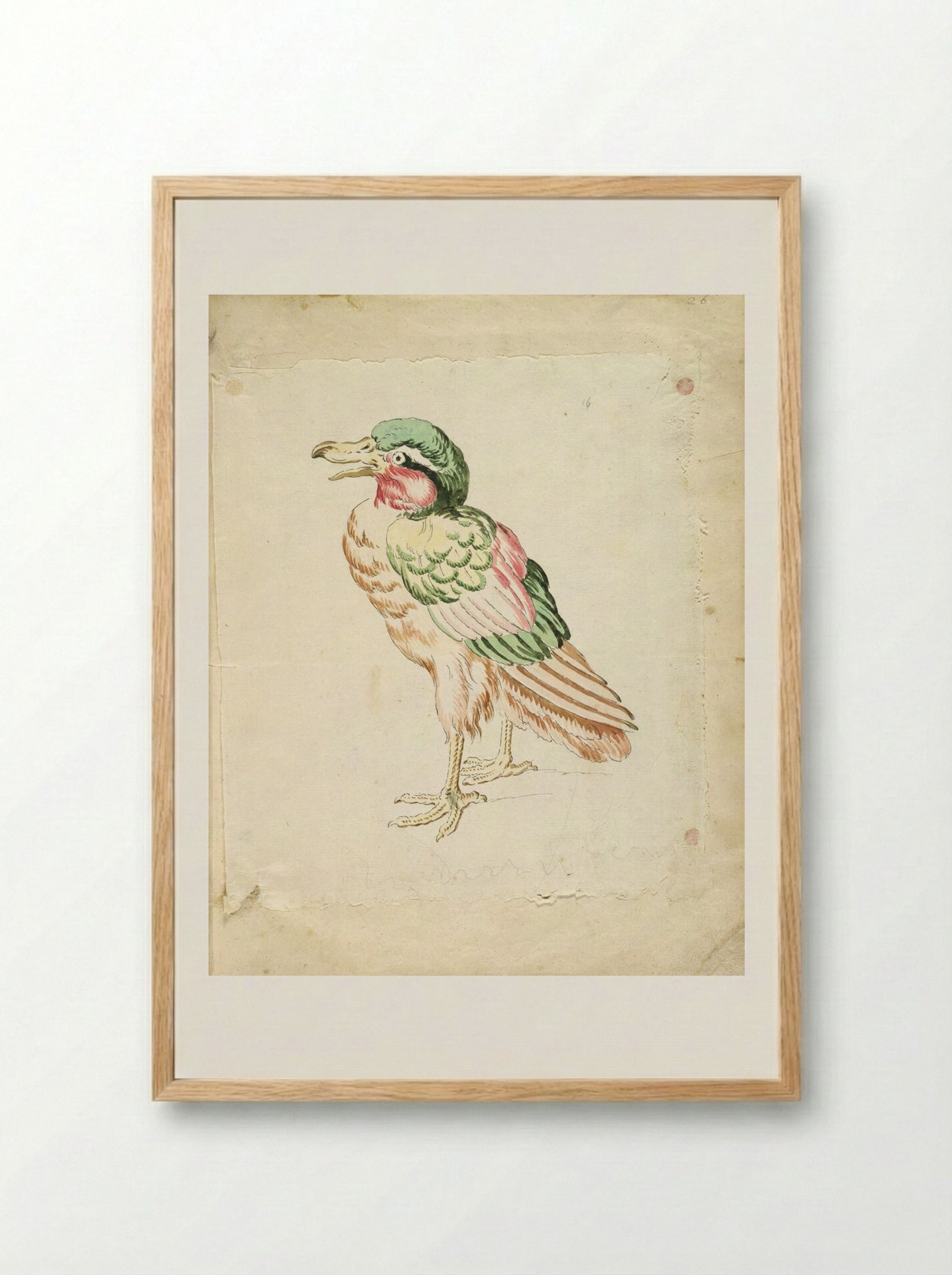 Standing Bird - Jean-Baptiste Oudry - Framed Print Wood