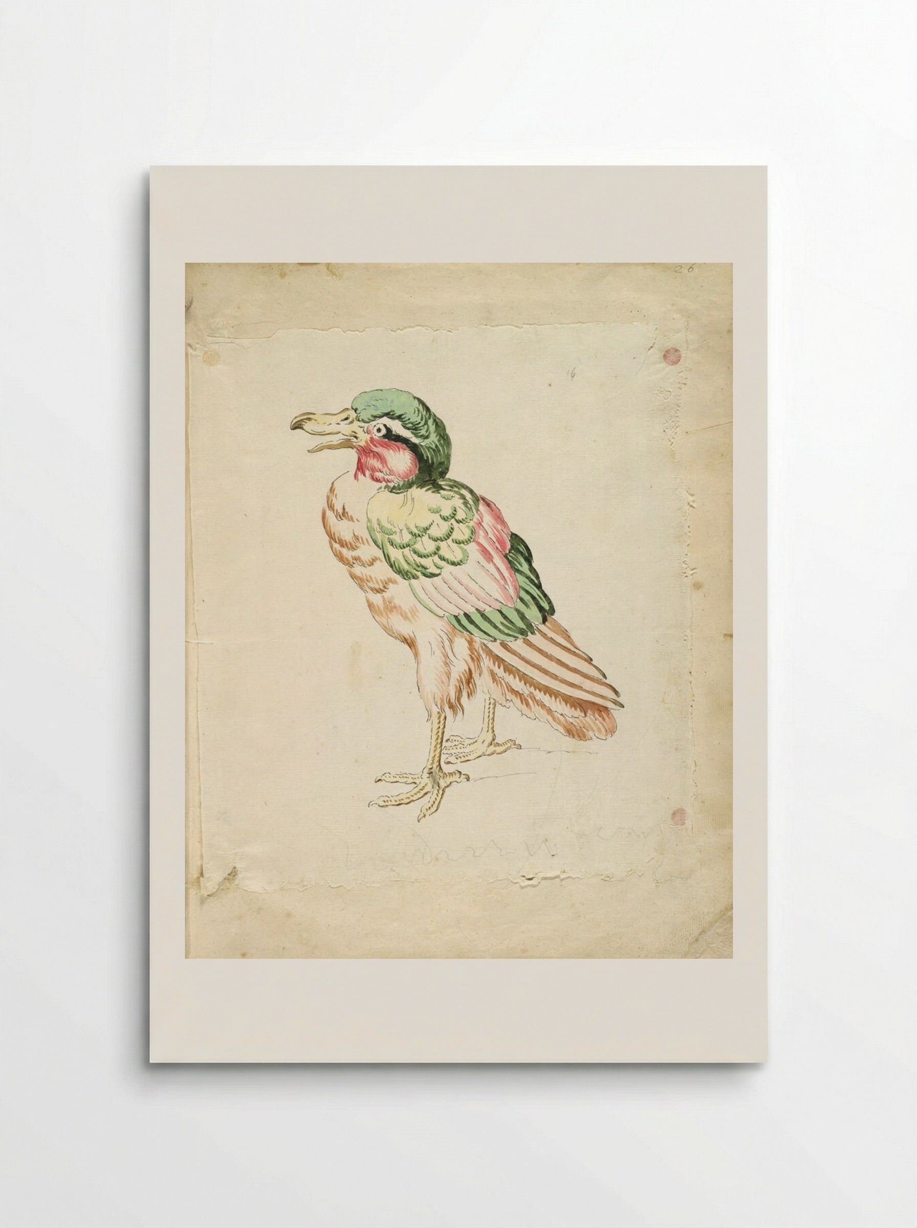 Standing Bird - Jean-Baptiste Oudry - Poster