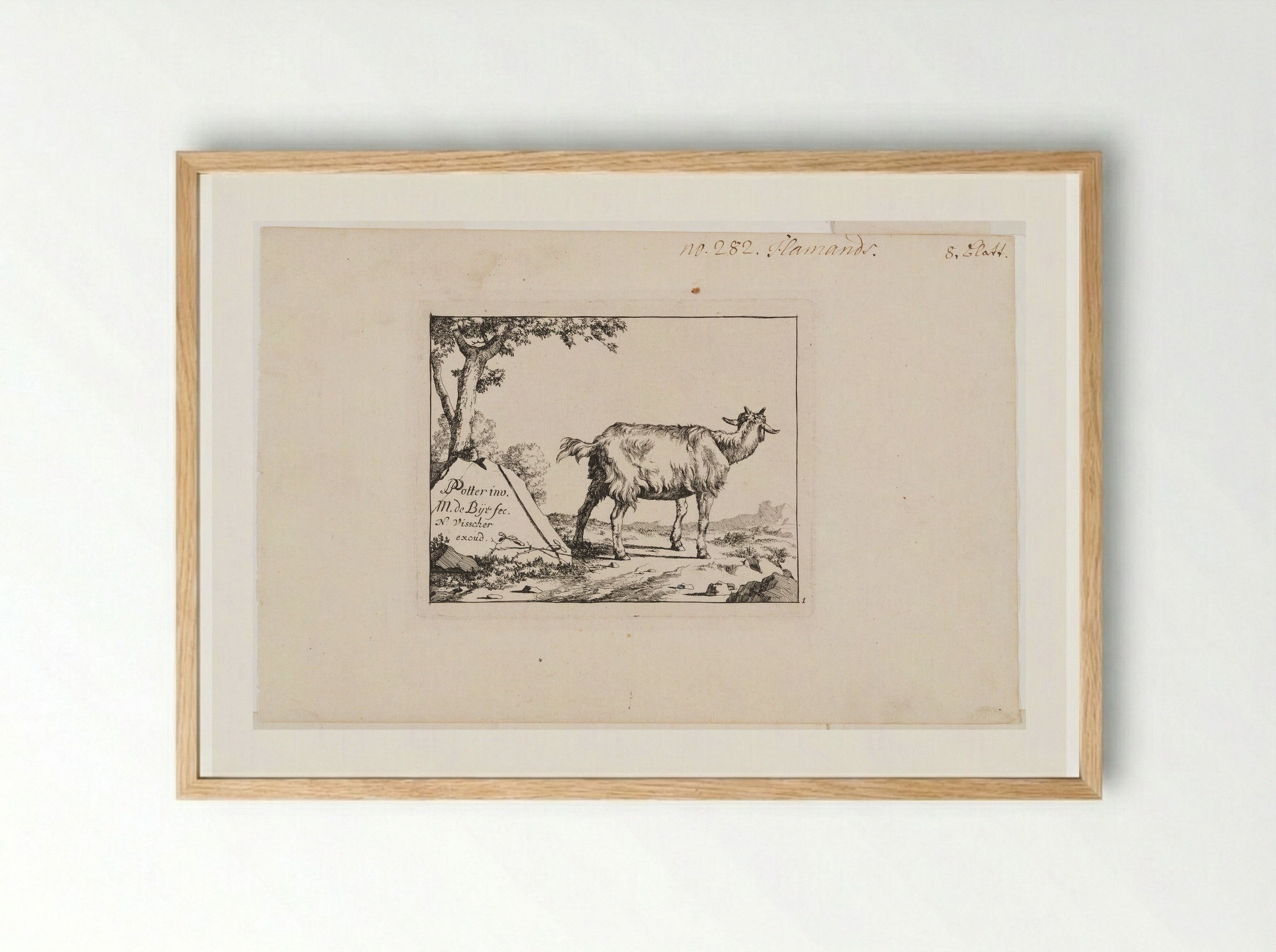Standing Goat - Marcus de Bye - Framed Print Wood