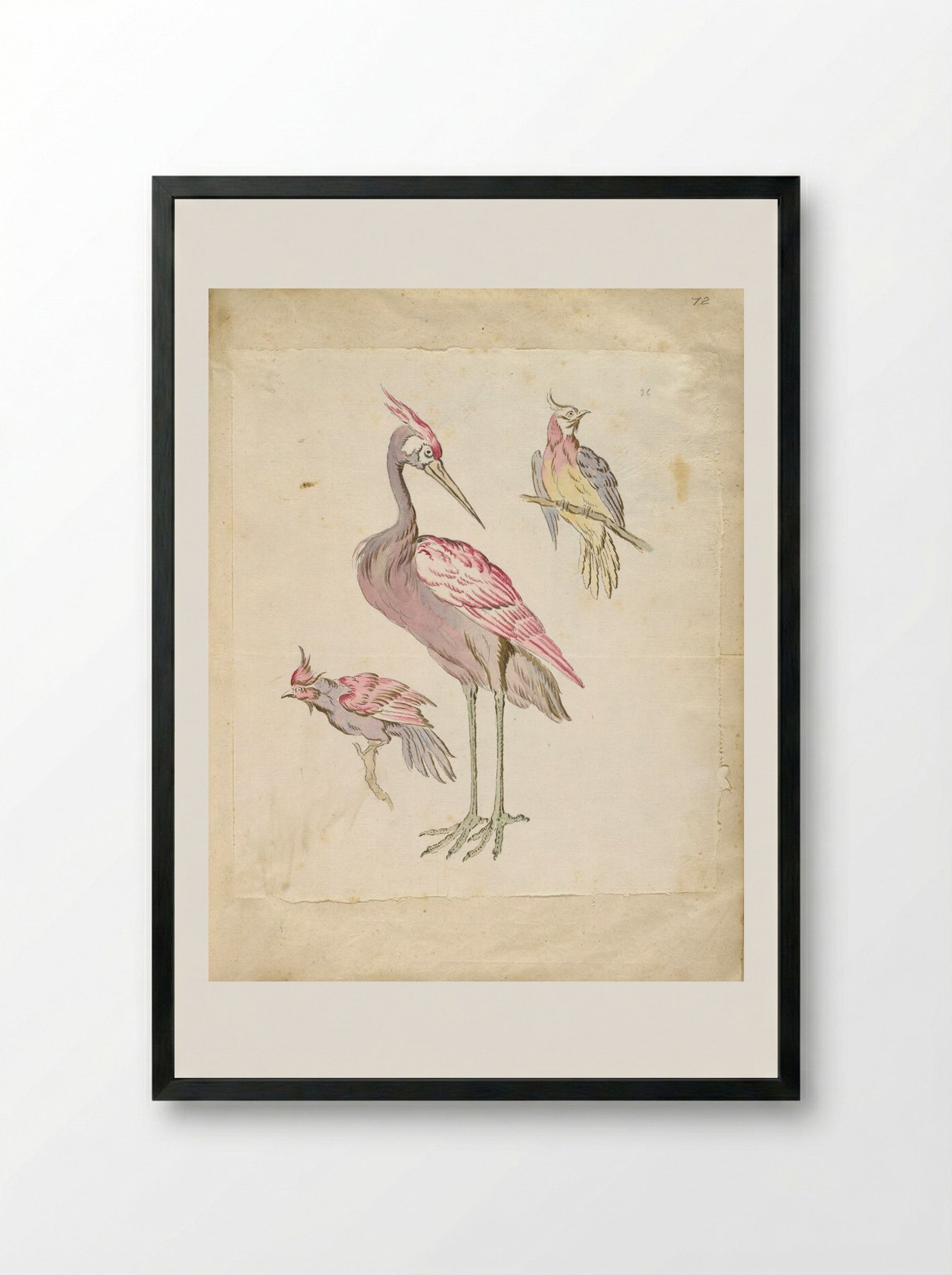 Standing Heron and Two Perched Birds - Jean-Baptiste Oudry - Framed Print Black