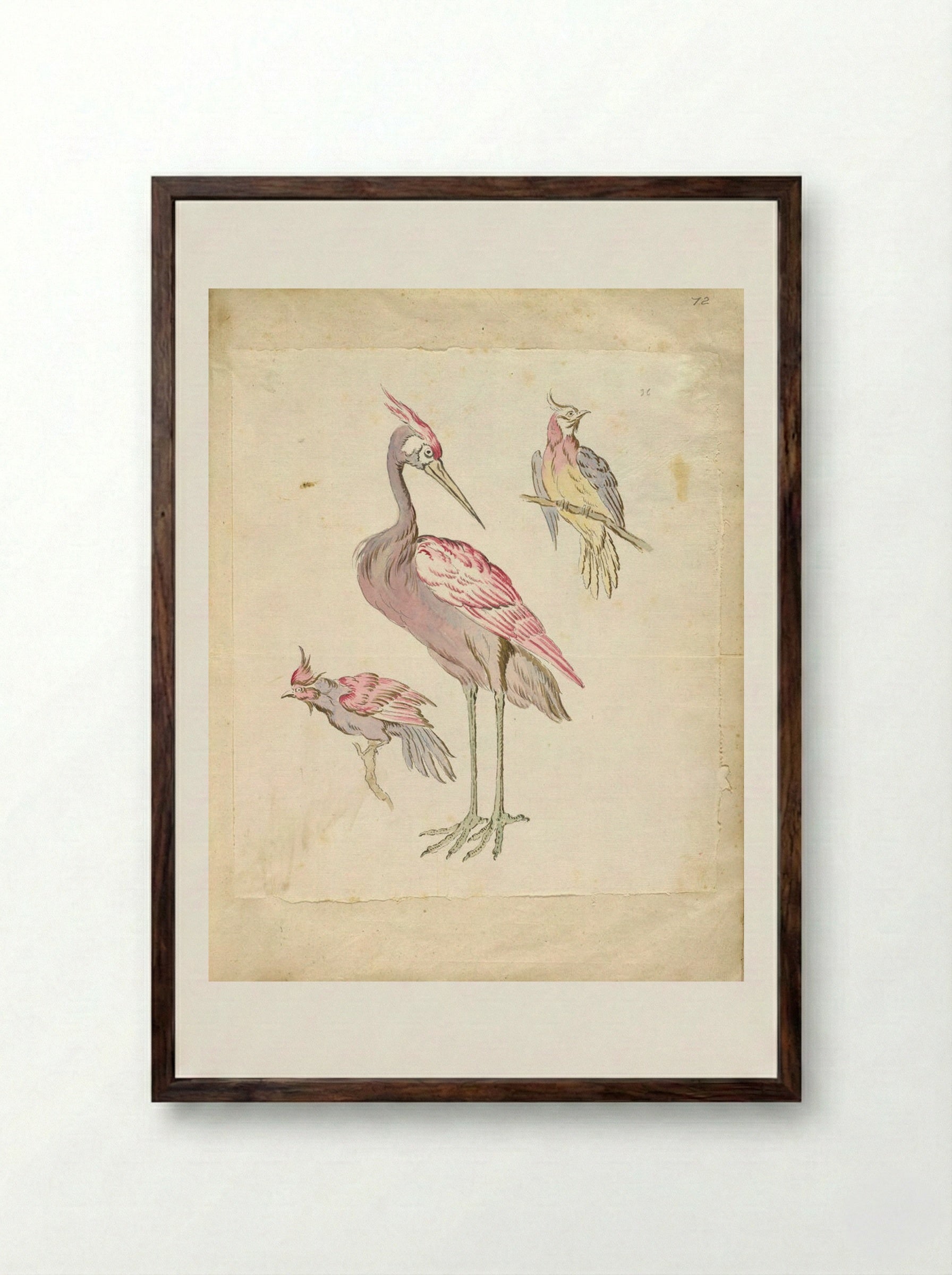 Standing Heron and Two Perched Birds - Jean-Baptiste Oudry - Framed Print Dark Wood
