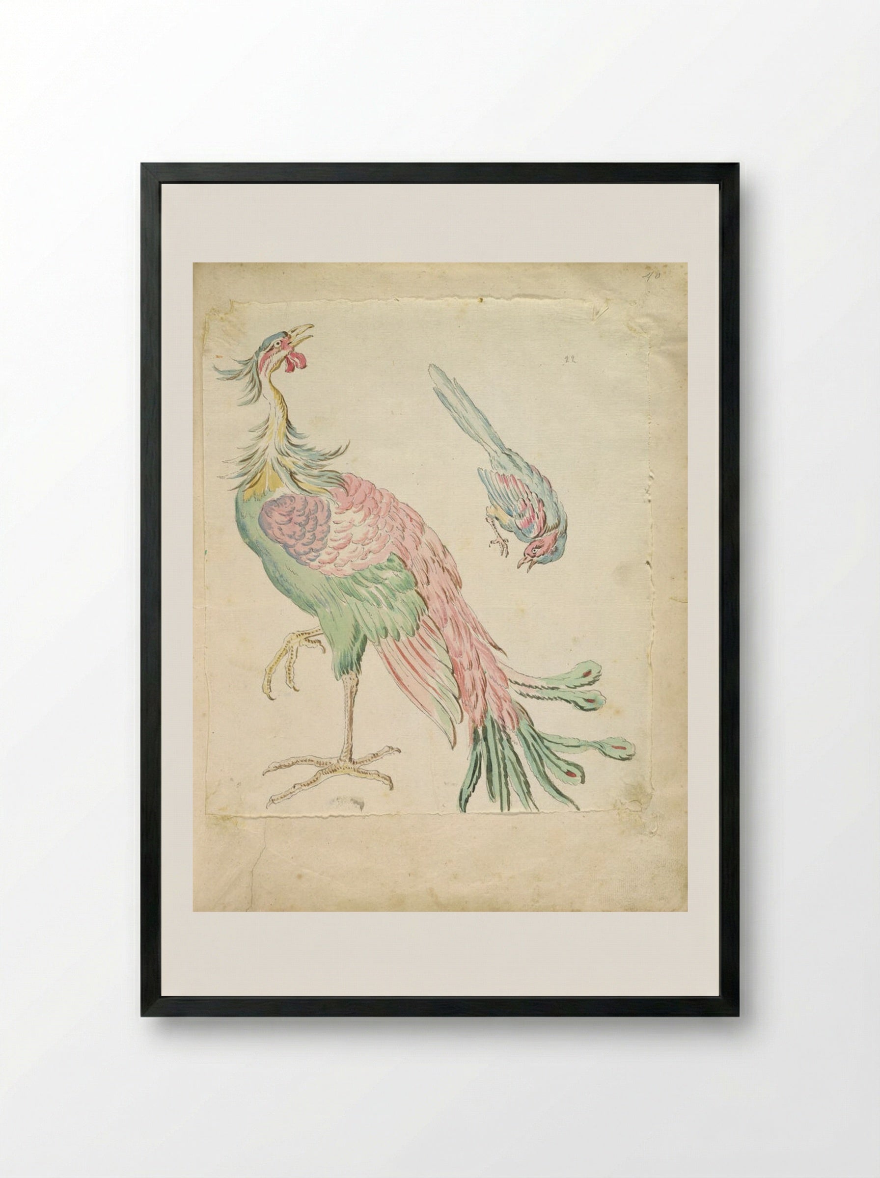 Standing Peacock and Small Perched Bird - Jean-Baptiste Oudry - Framed Print Black