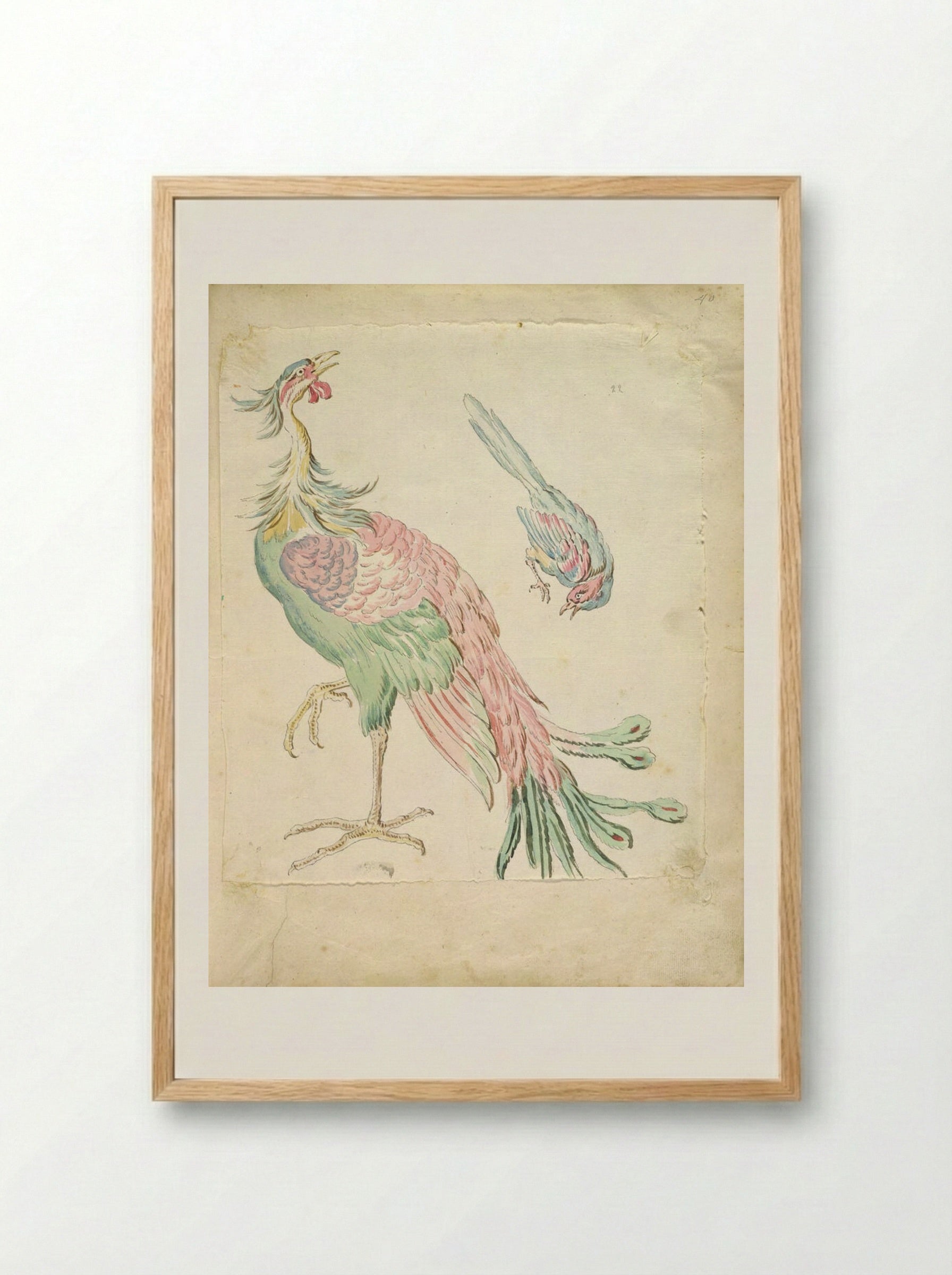 Standing Peacock and Small Perched Bird - Jean-Baptiste Oudry - Framed Print Wood