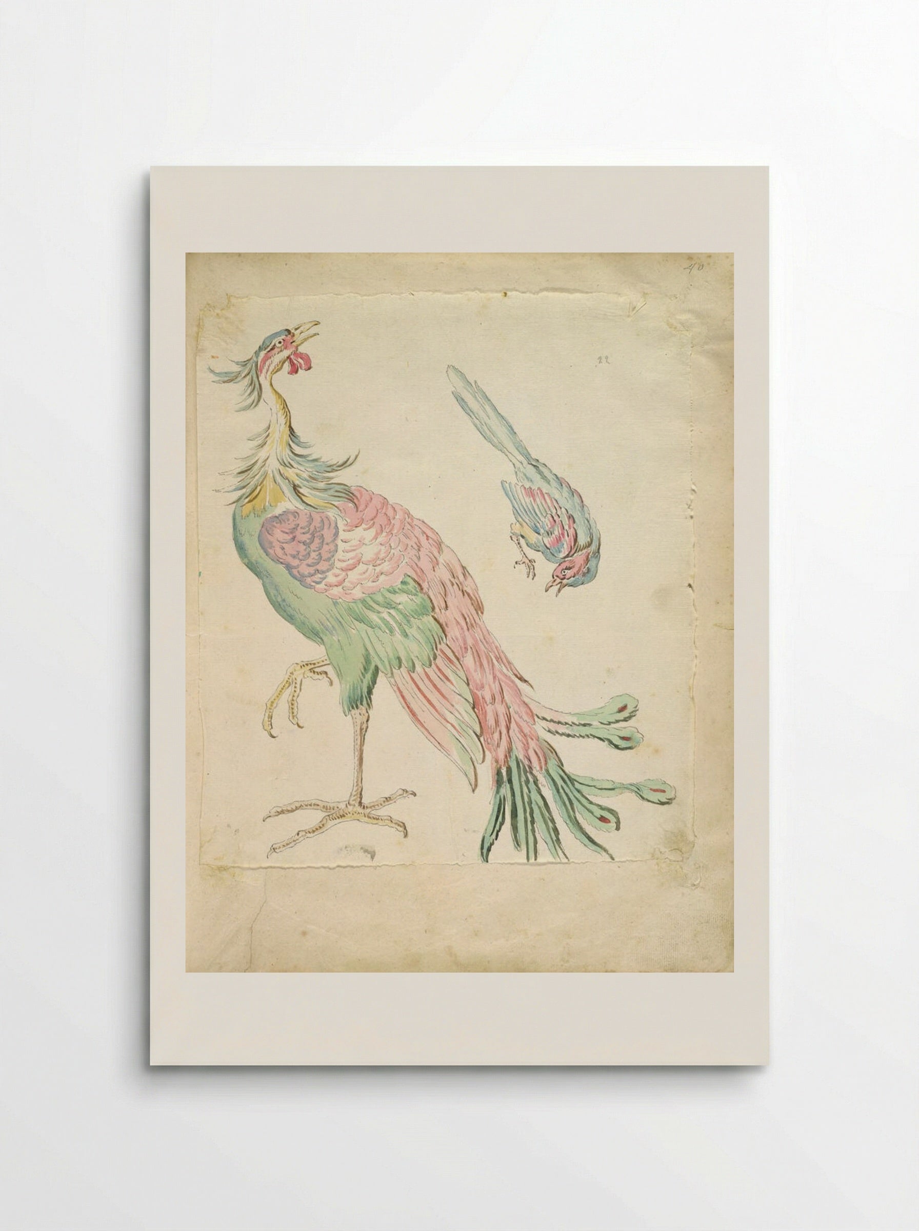 Standing Peacock and Small Perched Bird - Jean-Baptiste Oudry - Poster