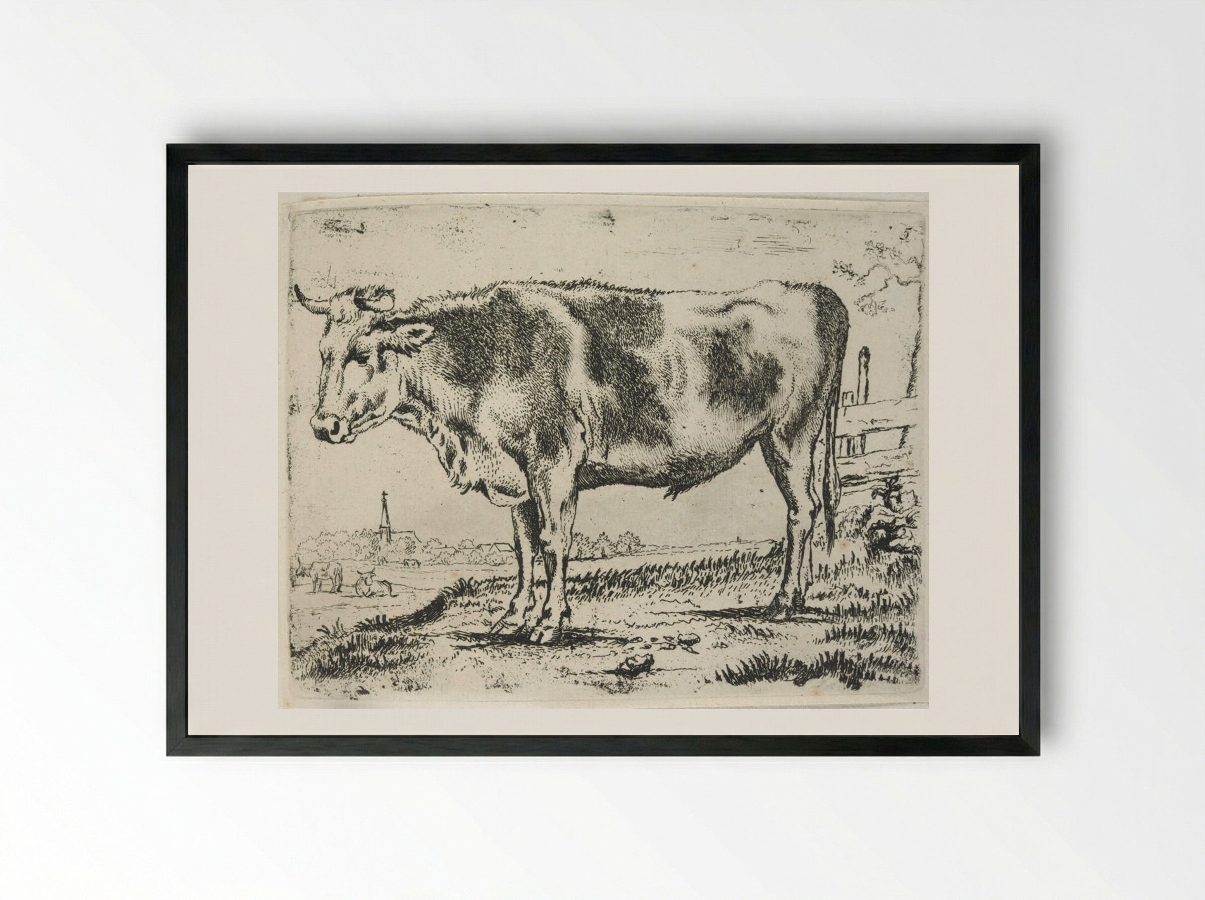 Standing Steer, Facing Left - Paulus Potter - Framed Print Black