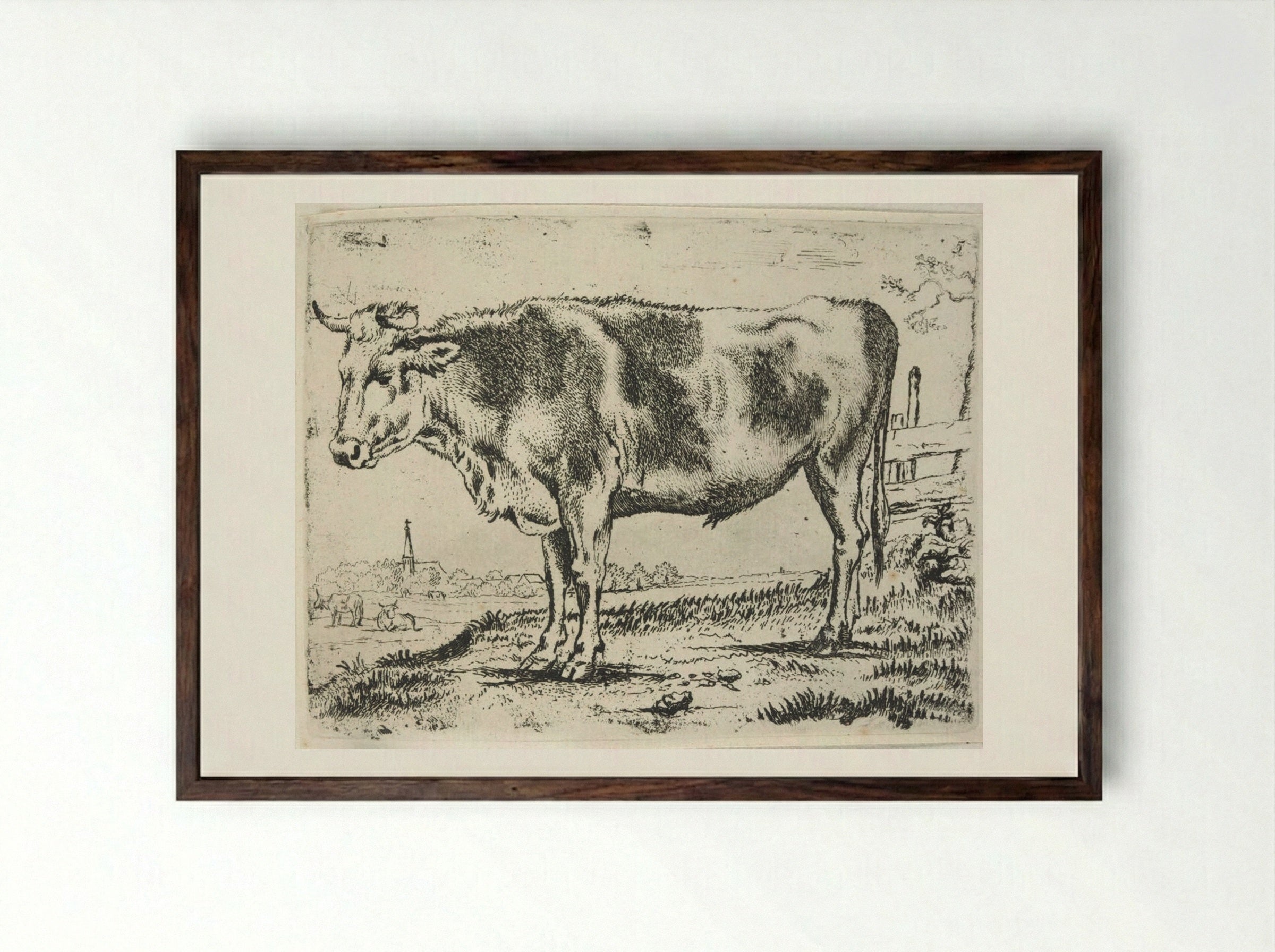 Standing Steer, Facing Left - Paulus Potter - Framed Print Dark Wood