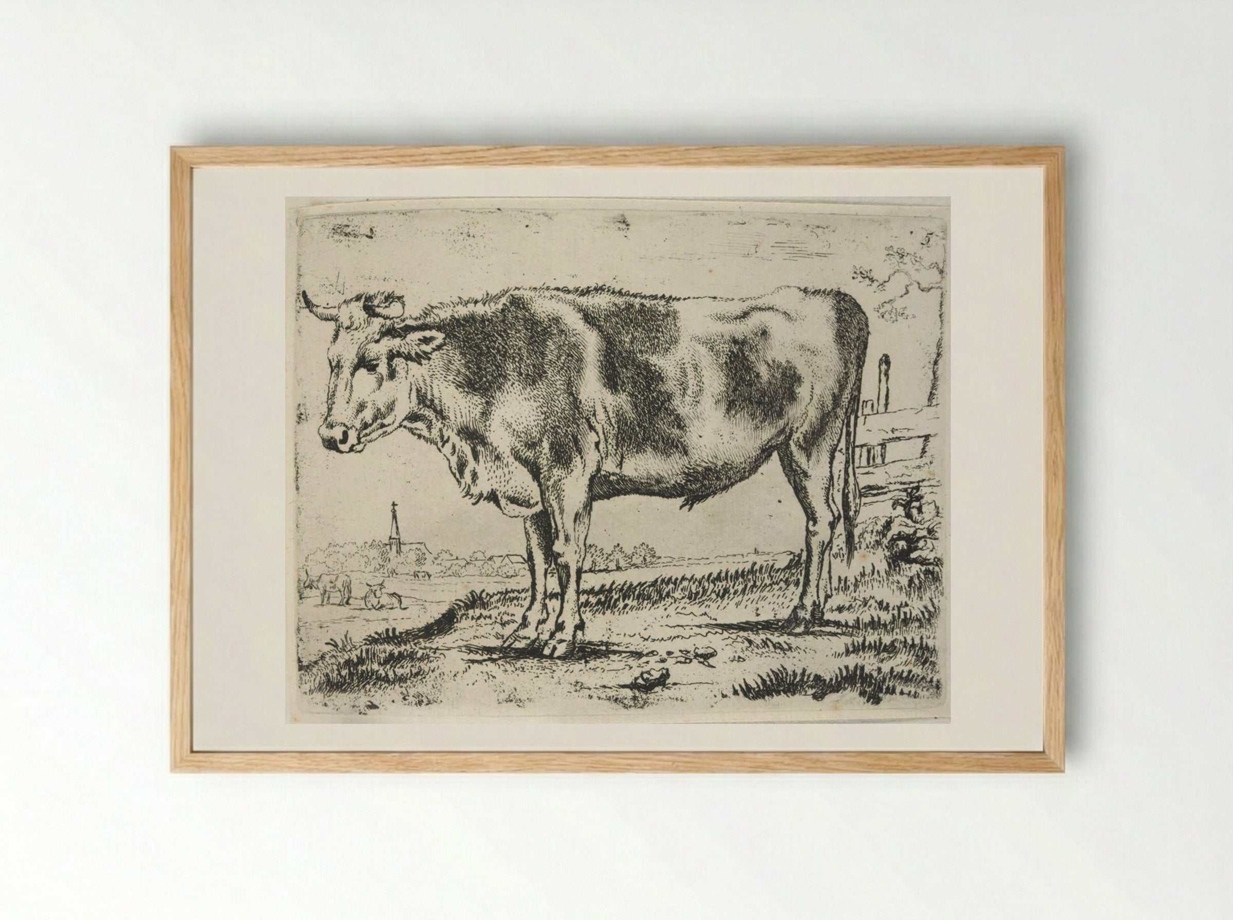 Standing Steer, Facing Left - Paulus Potter - Framed Print Wood