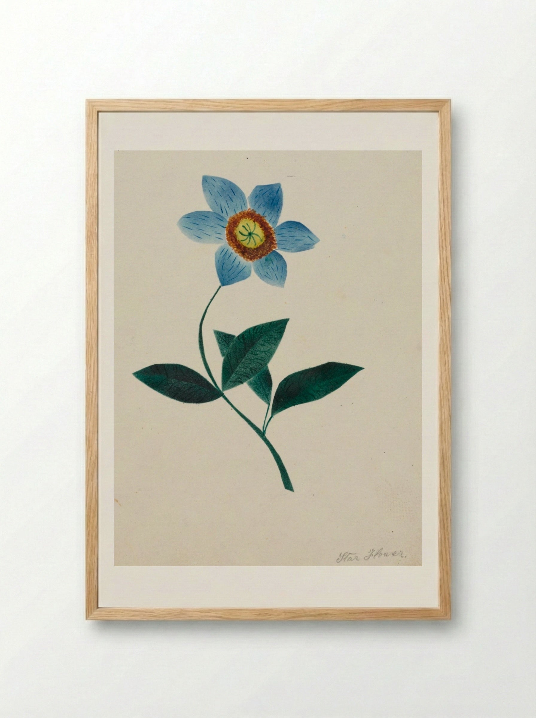 Star Flower - Mary Altha Nims - Framed Print Wood