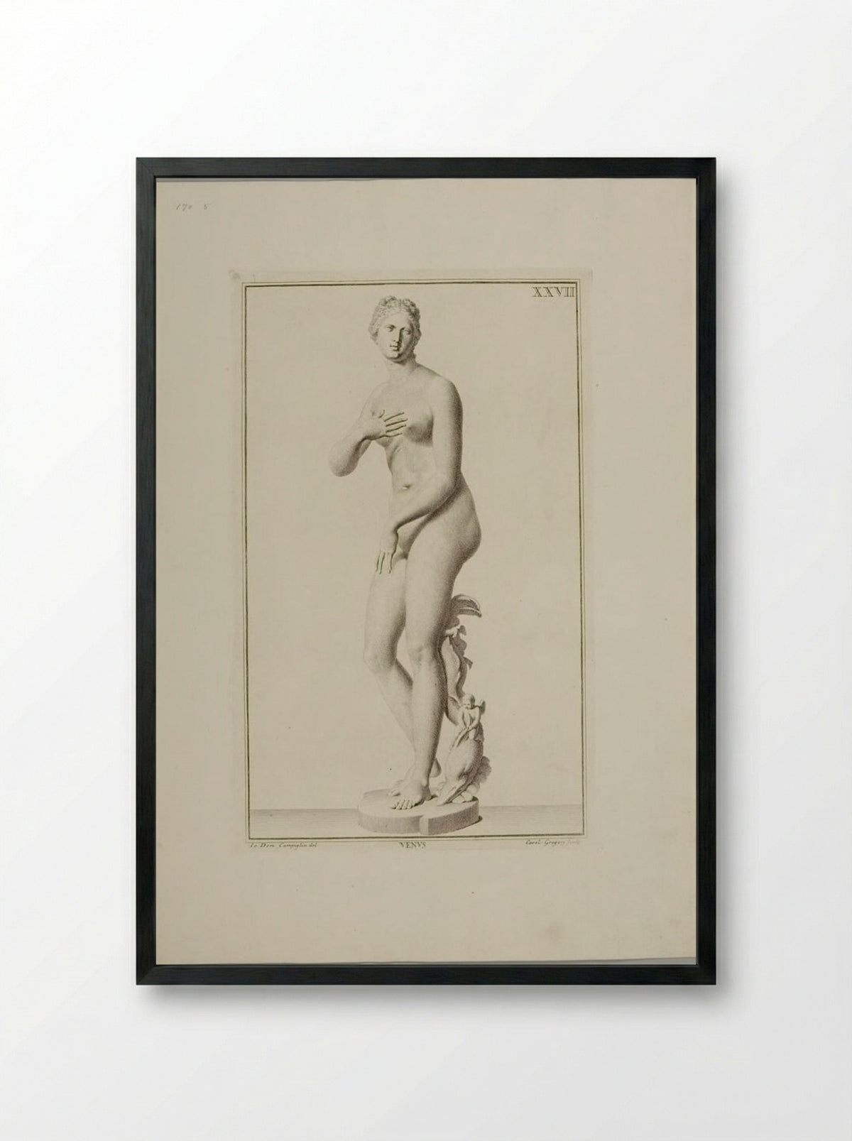 Statue of Venus - Carlo Gregori - Framed Print Black