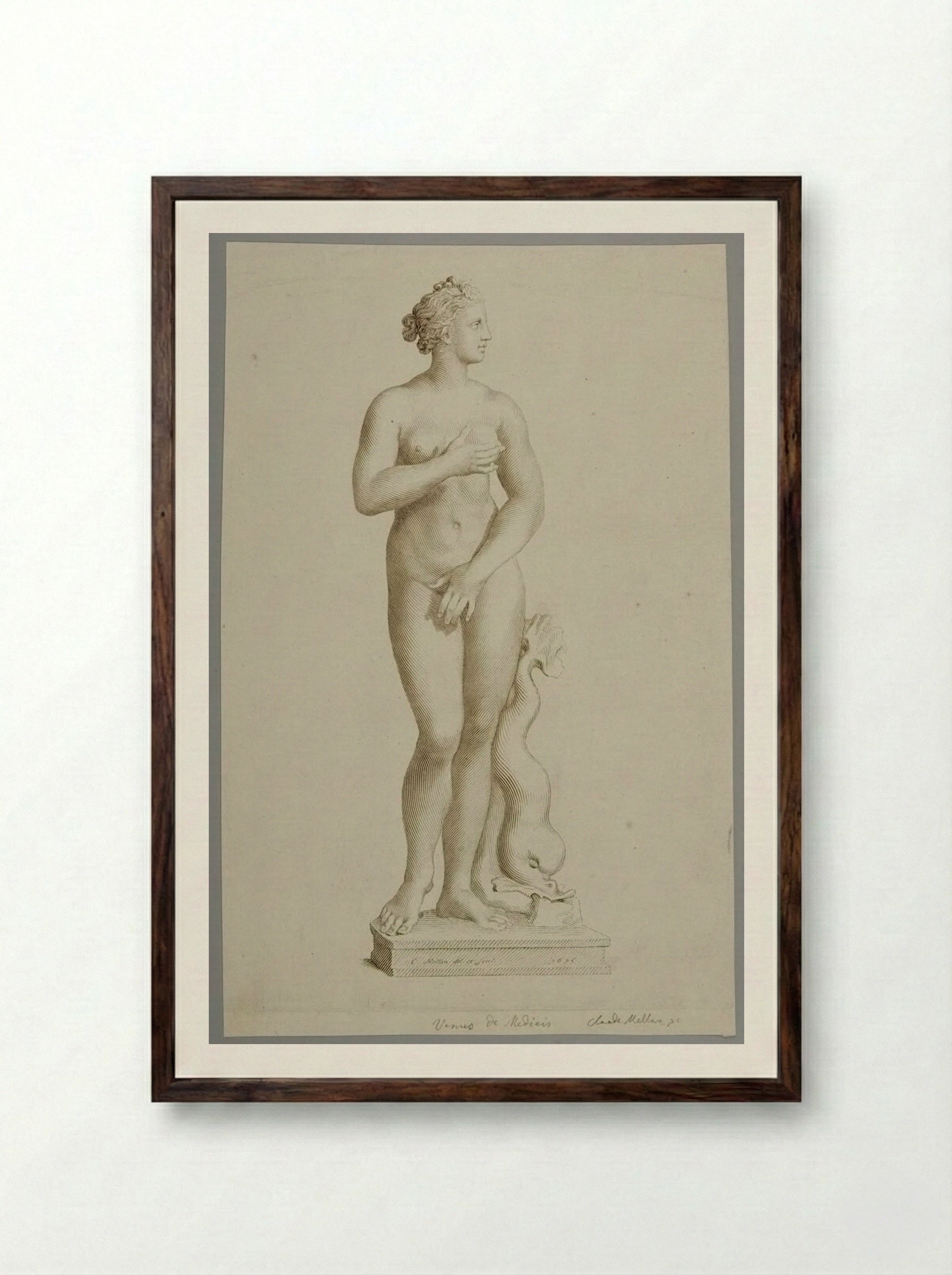 Statue of Venus - Claude Mellan - Framed Print Dark Wood