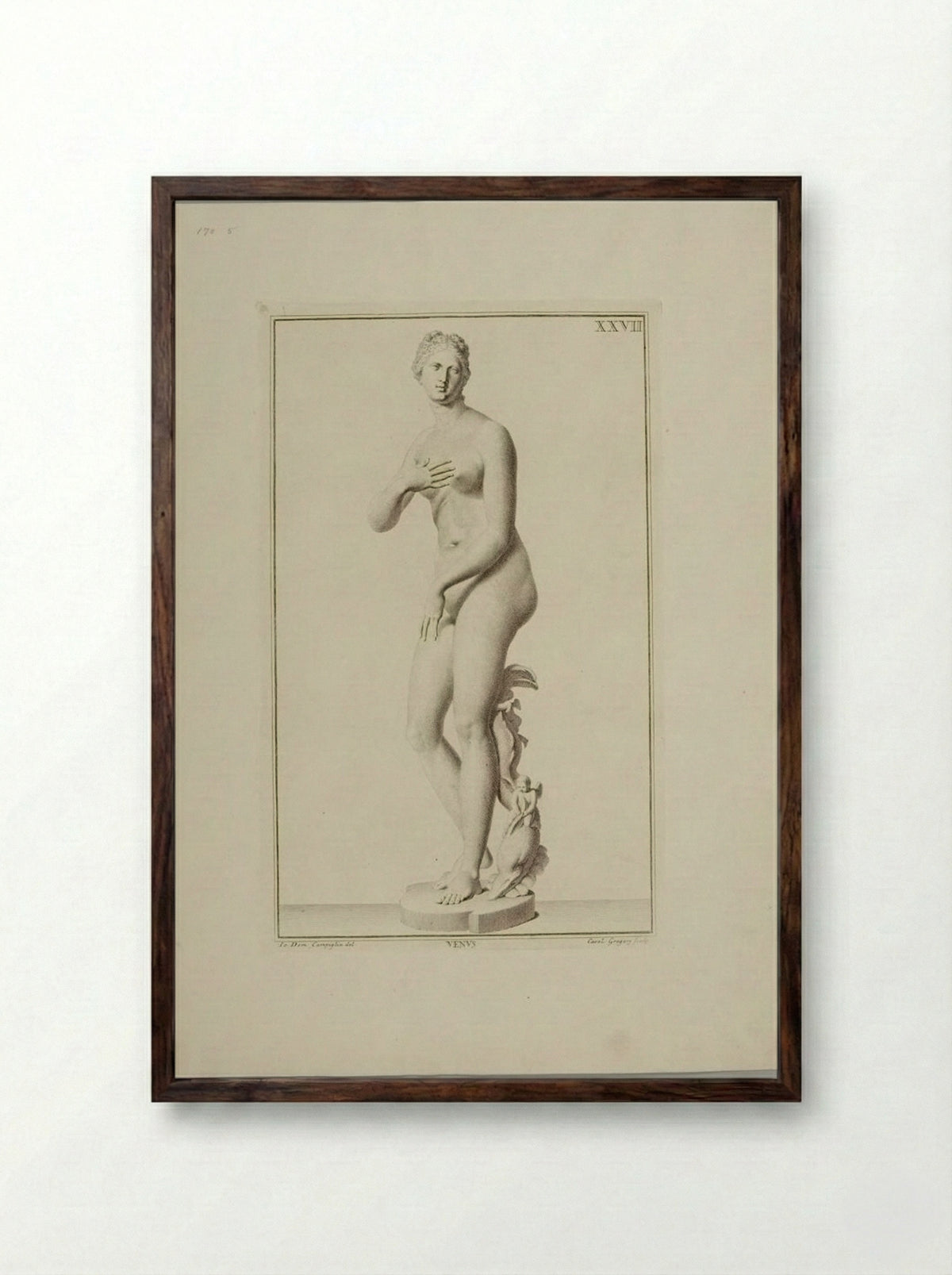 Statue of Venus - Carlo Gregori - Framed Print Dark Wood