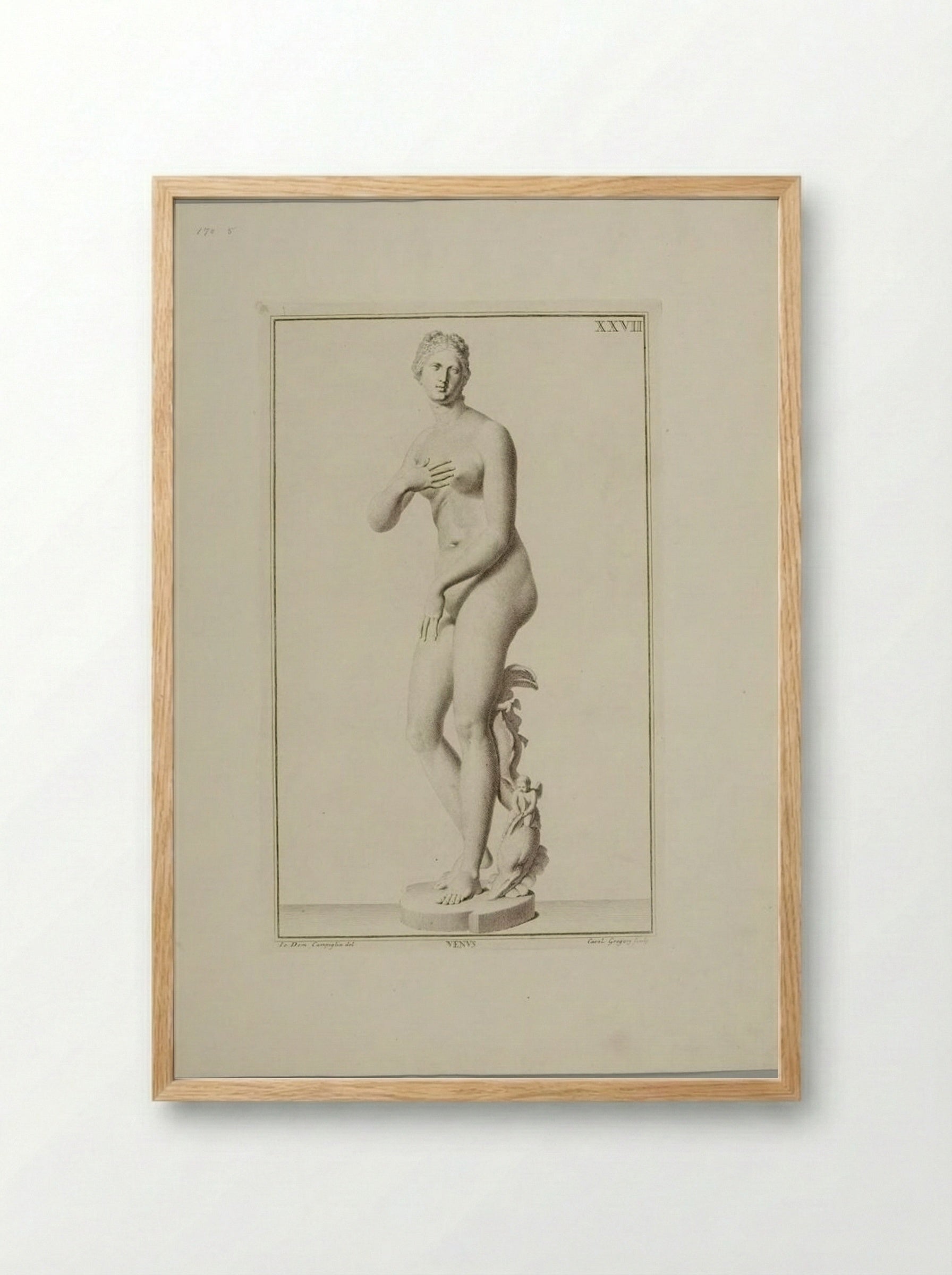 Statue of Venus - Carlo Gregori - Framed Print Wood