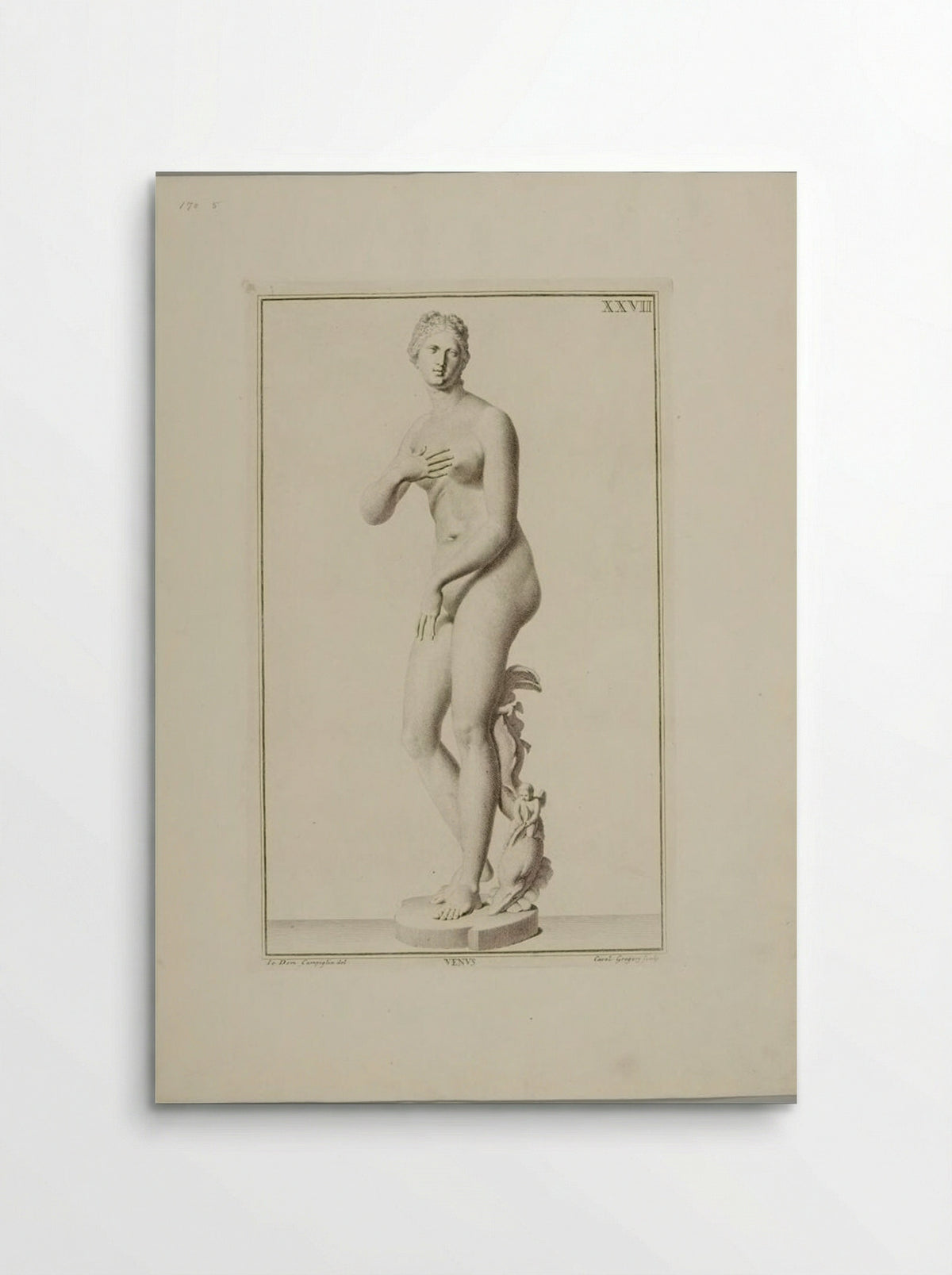 Statue of Venus - Carlo Gregori - Poster