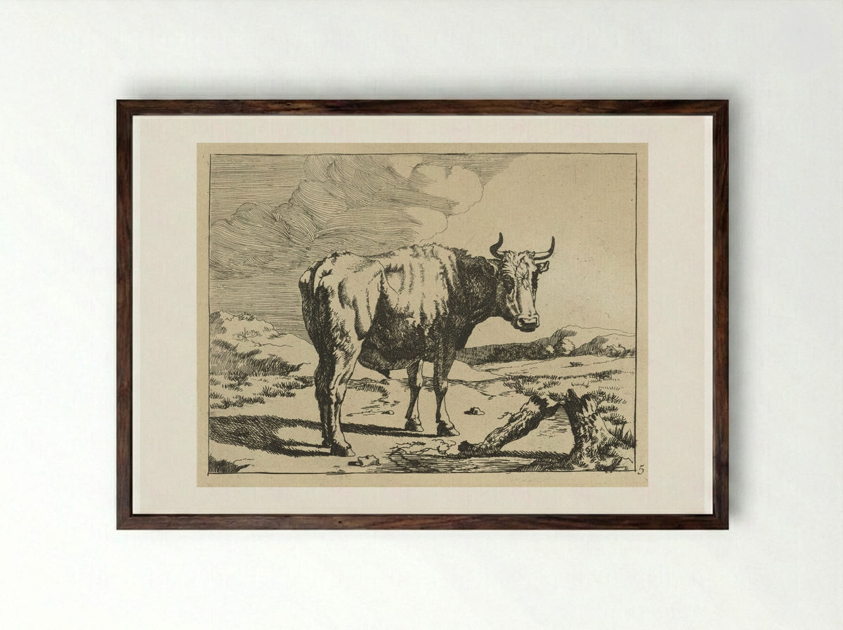 Stier staand bij boomstronk - Marcus de Bye - Framed Print Dark Wood