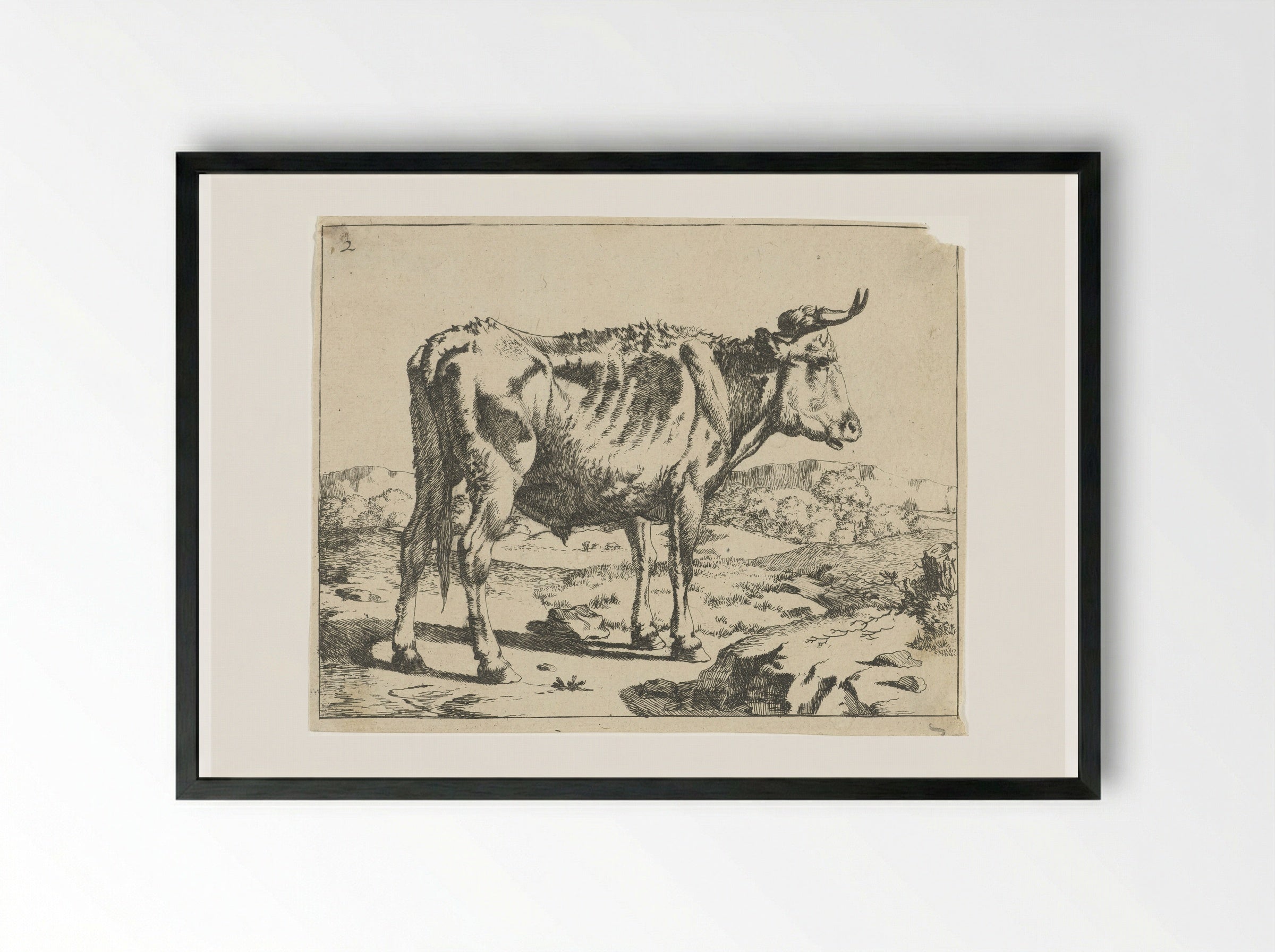Stier staand bij rots - Marcus de Bye - Framed Print Black