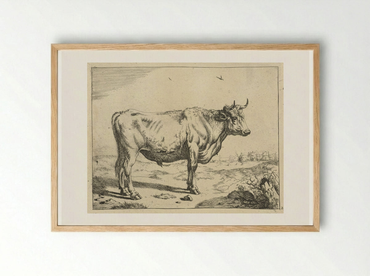 Stier, staand naar rechts, met vogels - Marcus de Bye - Framed Print Wood