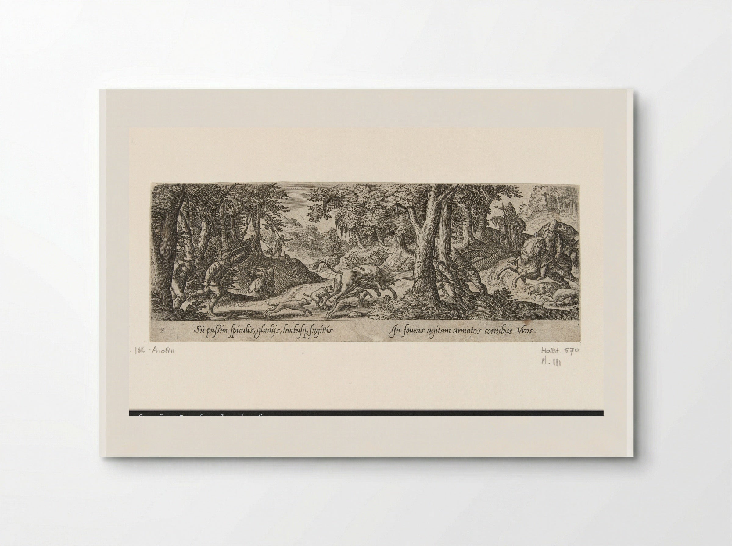 Stierenjacht (Bull Hunt) - Theodoor Galle - Poster