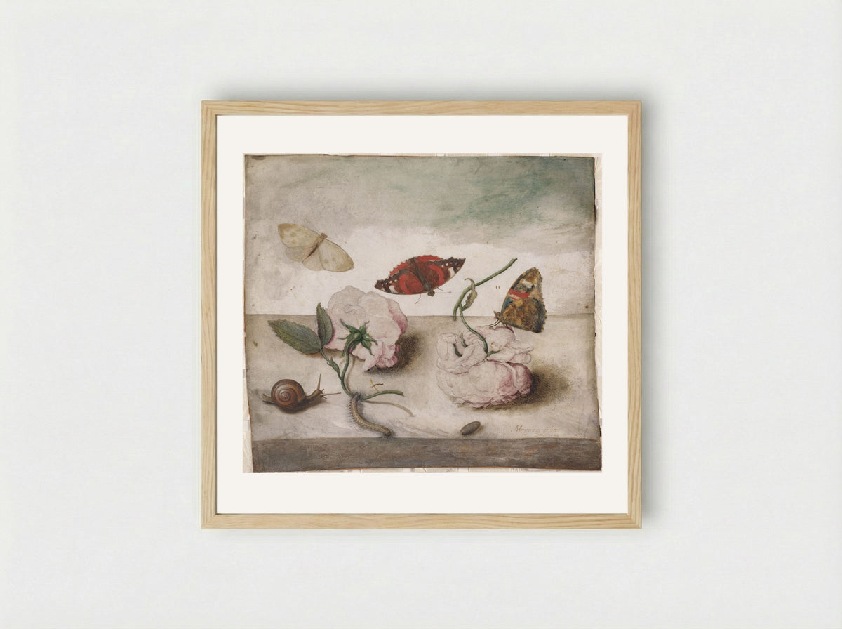 Still Life of Flowers and Small Animals on a Ledge - Margareta de Heer - Framed Print Wood