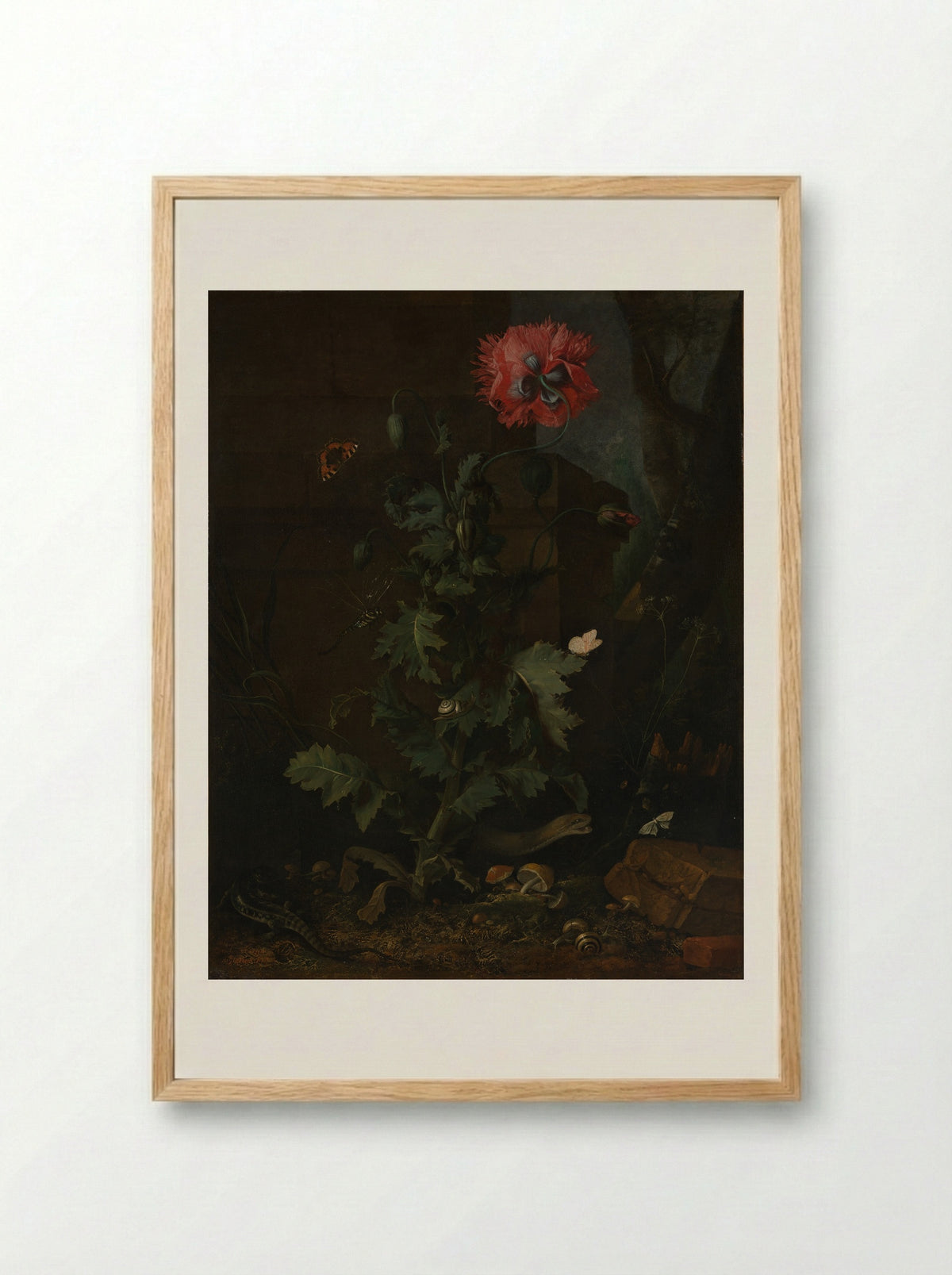 Still Life with Poppy, Insects, and Reptiles - Otto Marseus van Schrieck - Framed Print Wood