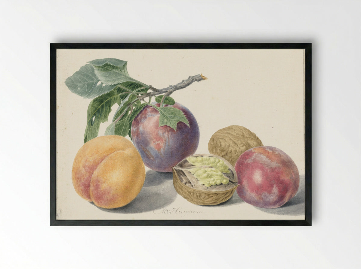 Stilleven met vruchten - Michiel van Huysum - Framed Print Black